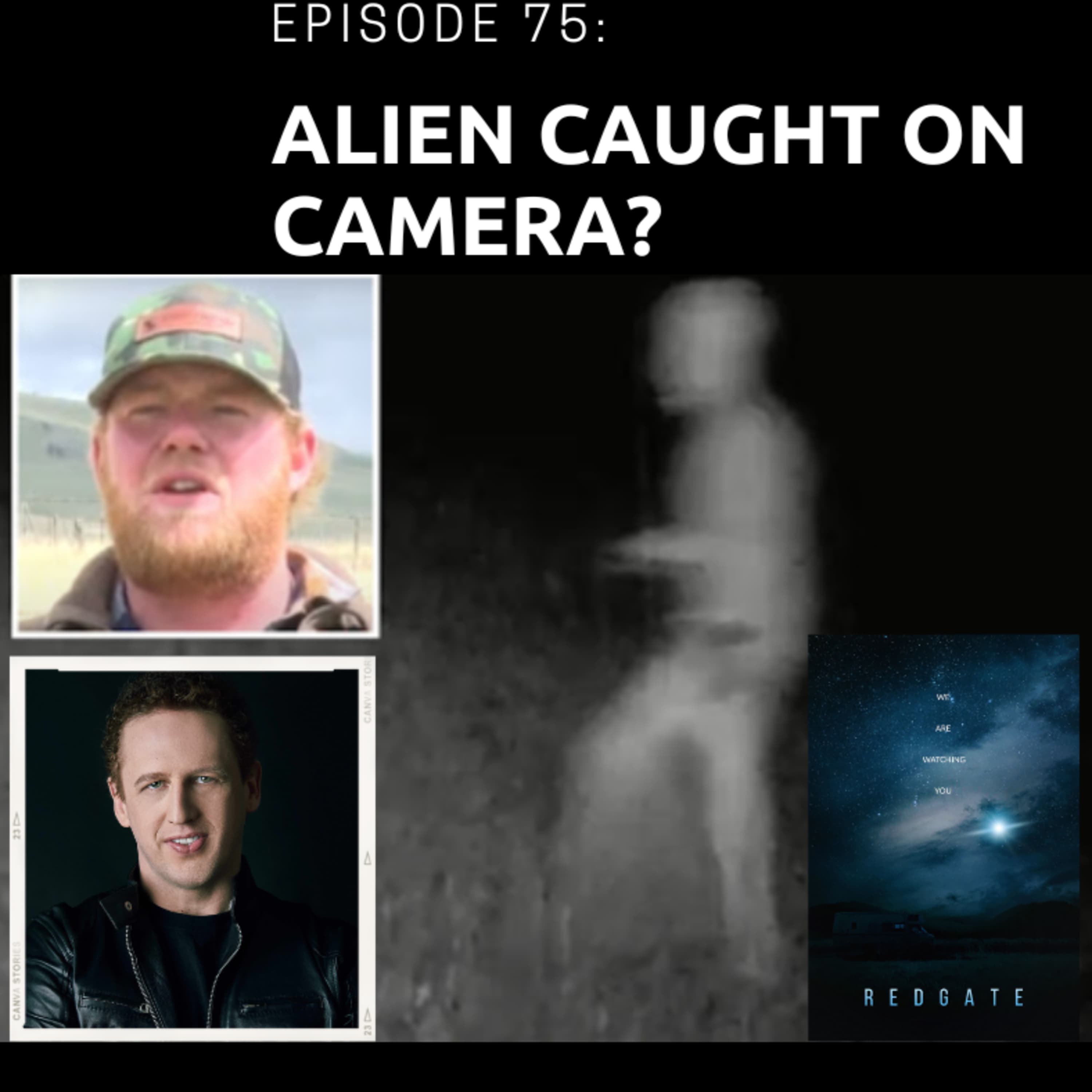 Pursuit of the Paranormal podcast cover art