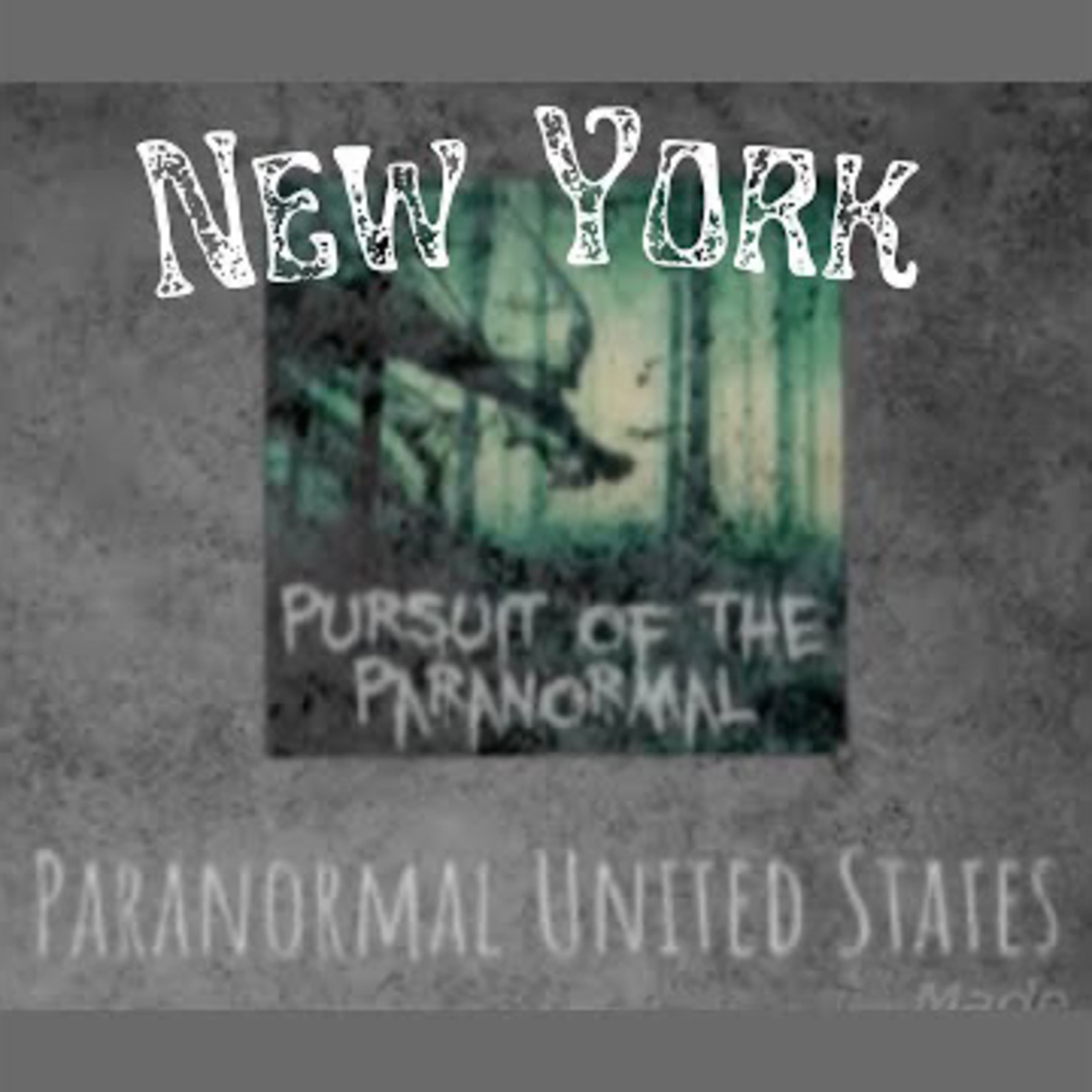 Pursuit of the Paranormal podcast cover art