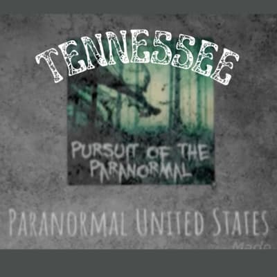 Pursuit of the Paranormal podcast cover art