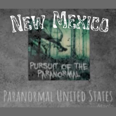 Pursuit of the Paranormal podcast cover art