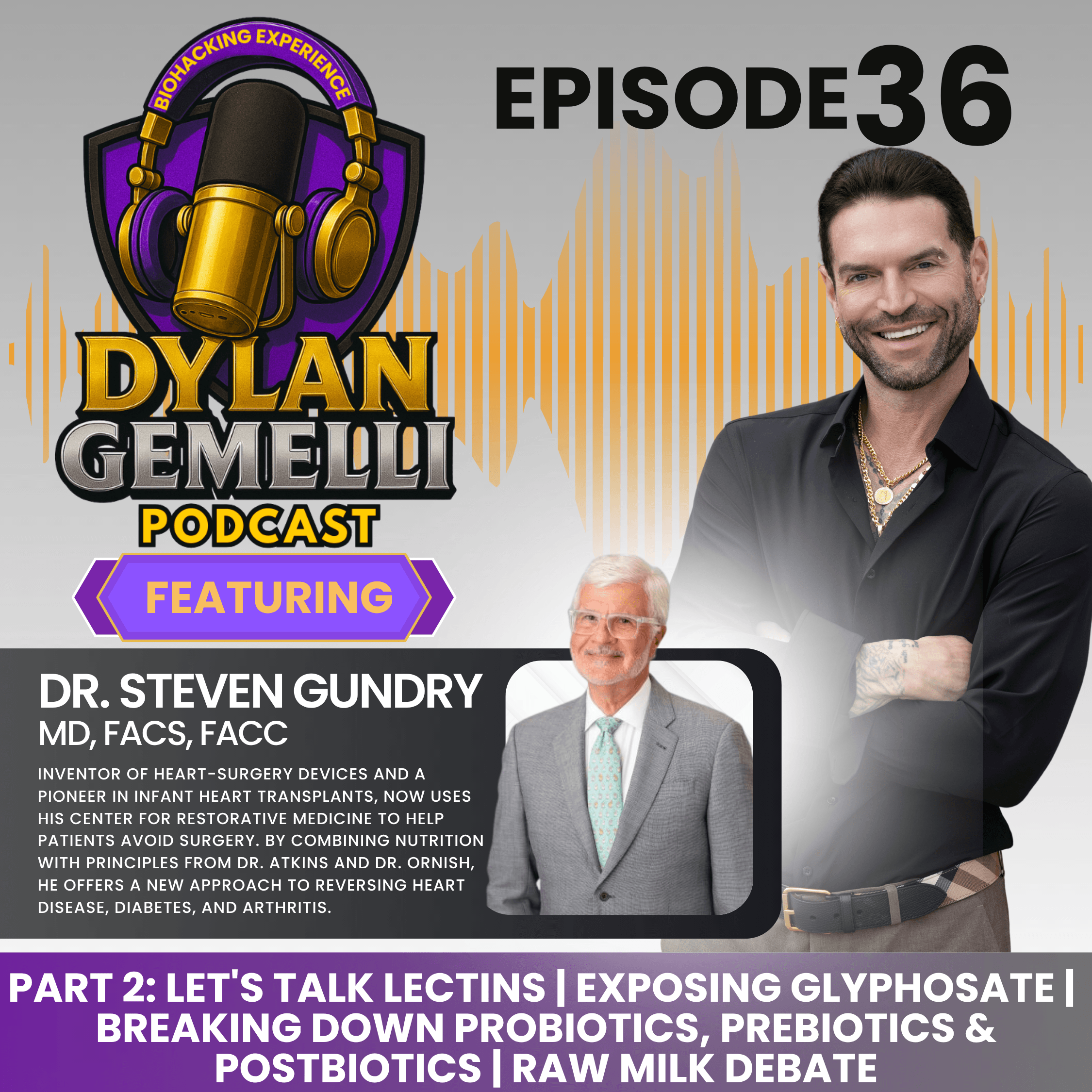 The Dylan Gemelli Podcast cover art