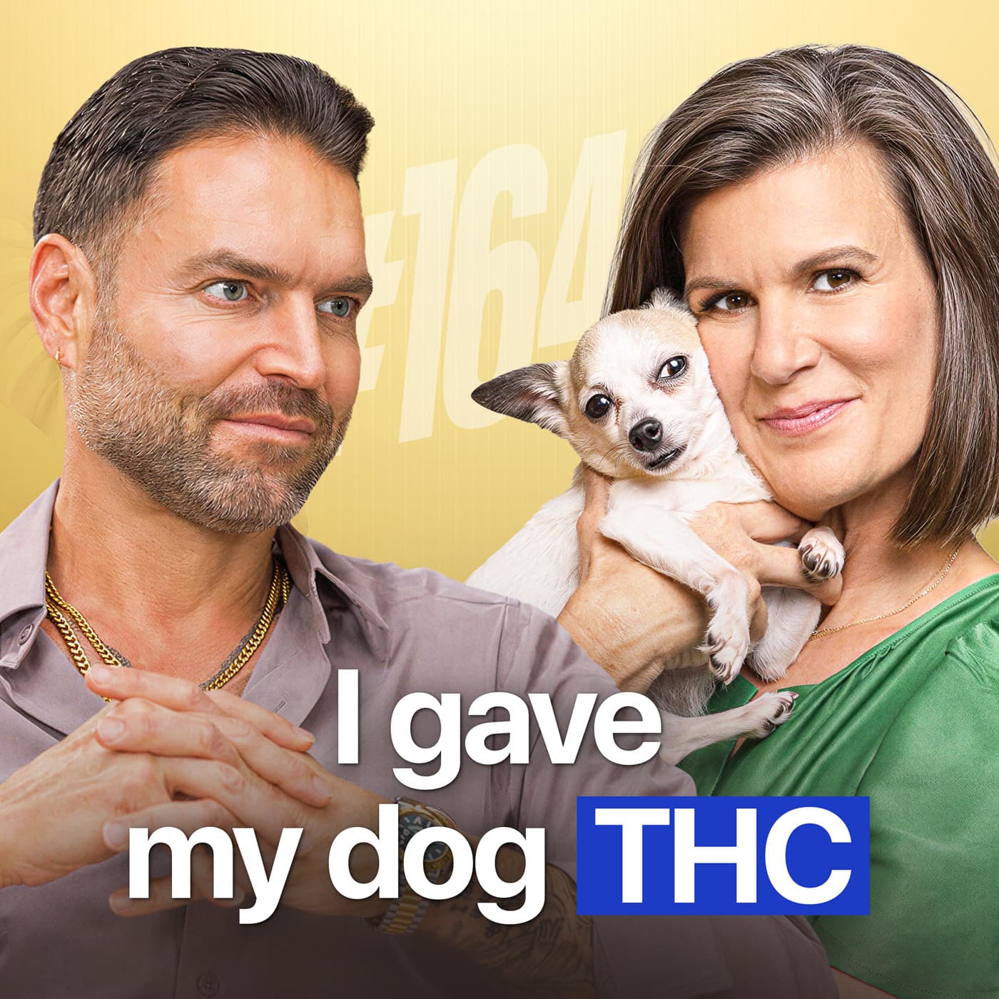 The Dylan Gemelli Podcast cover art