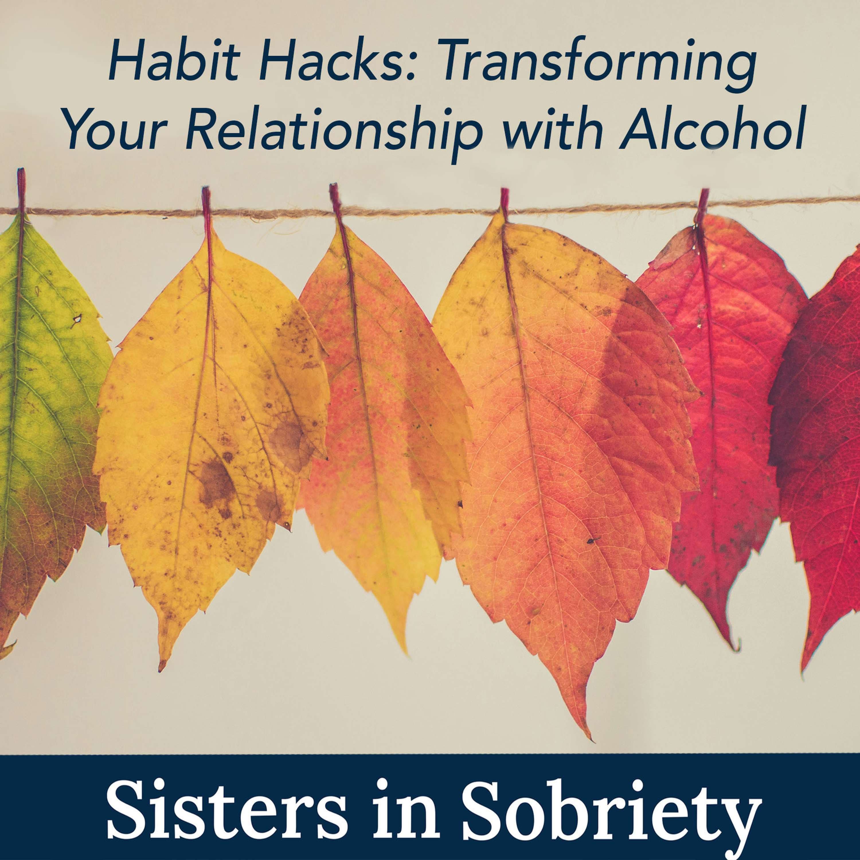 Sisters In Sobriety podcast cover art