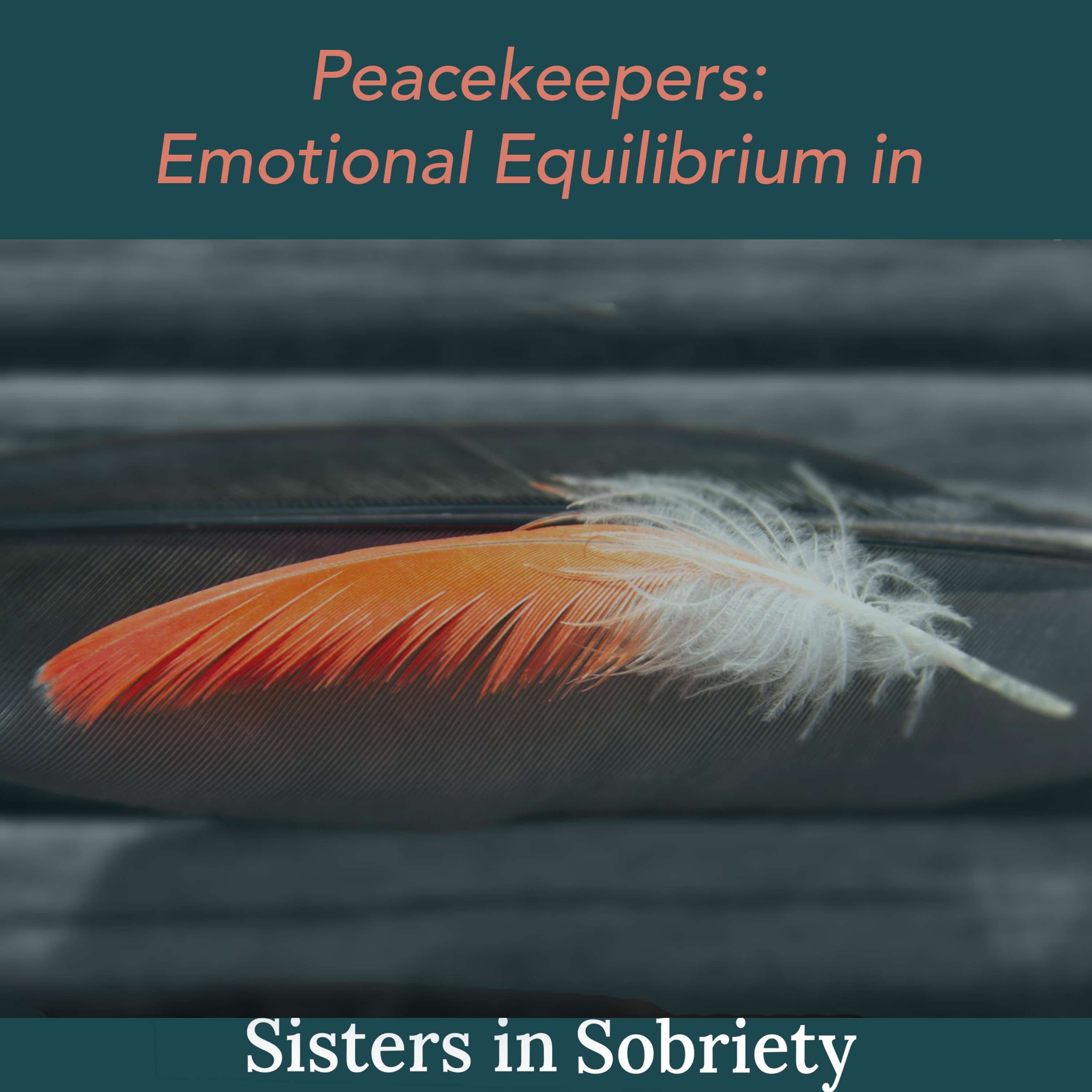 Sisters In Sobriety podcast cover art