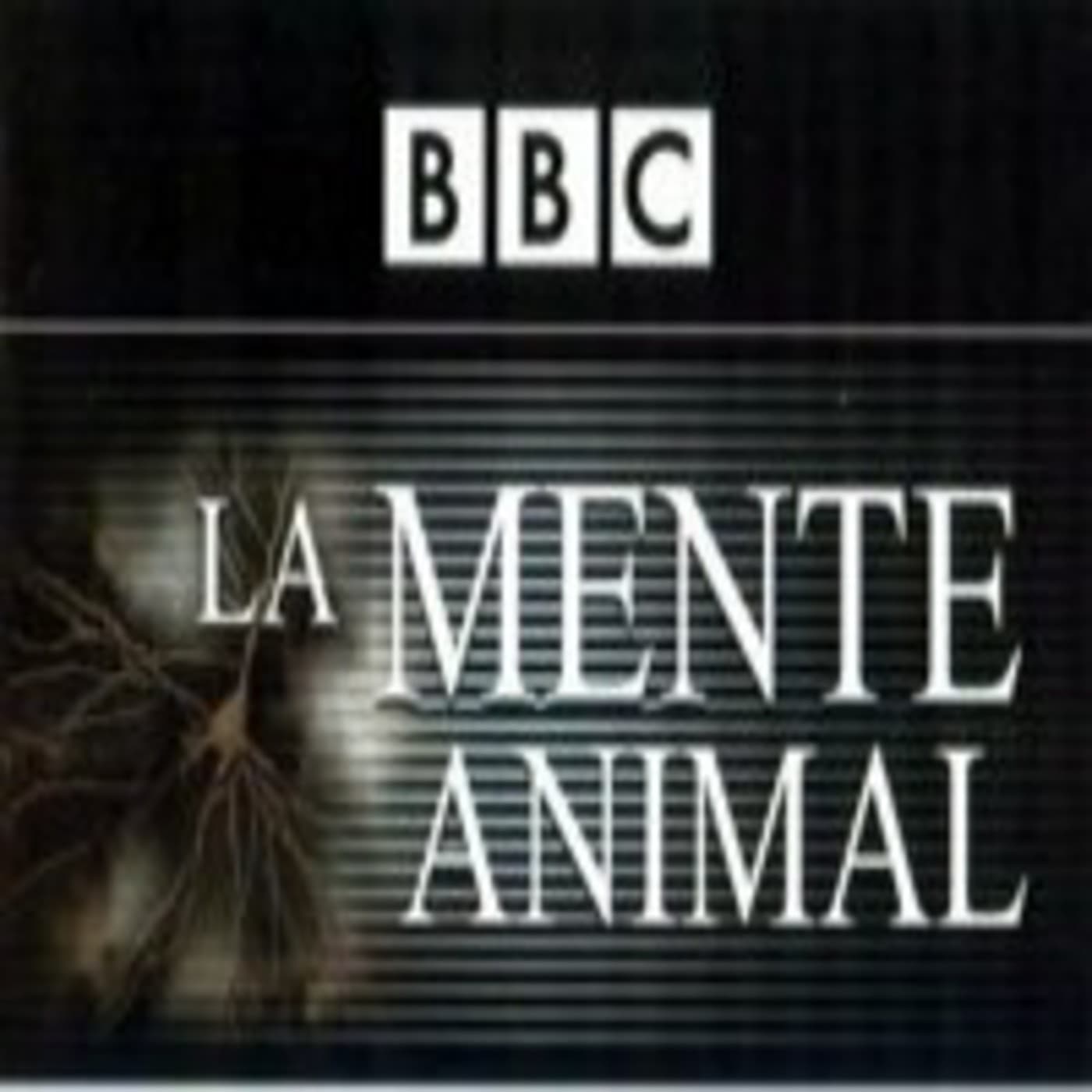 Documentales Sonoros podcast cover art