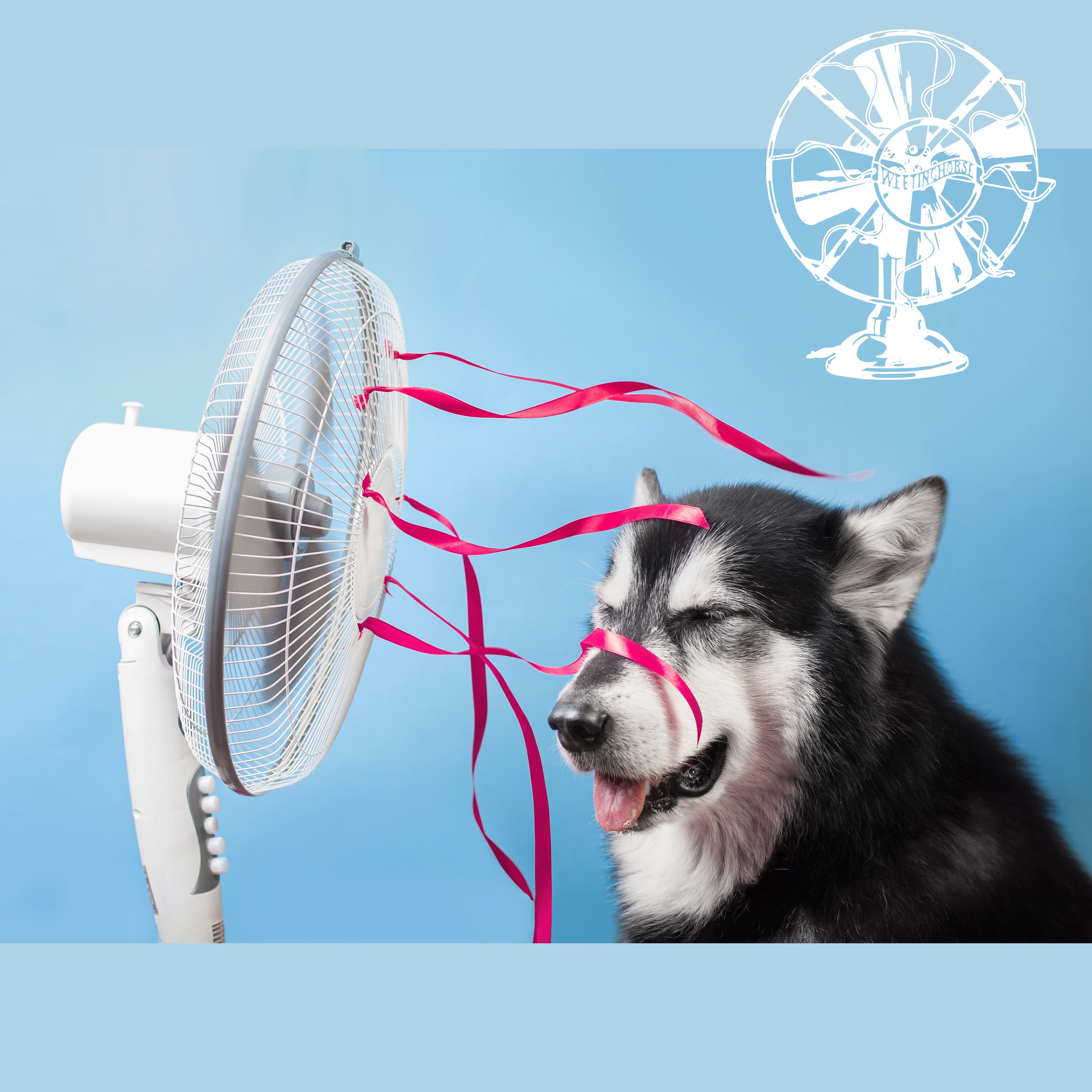 Fansplaining podcast cover art