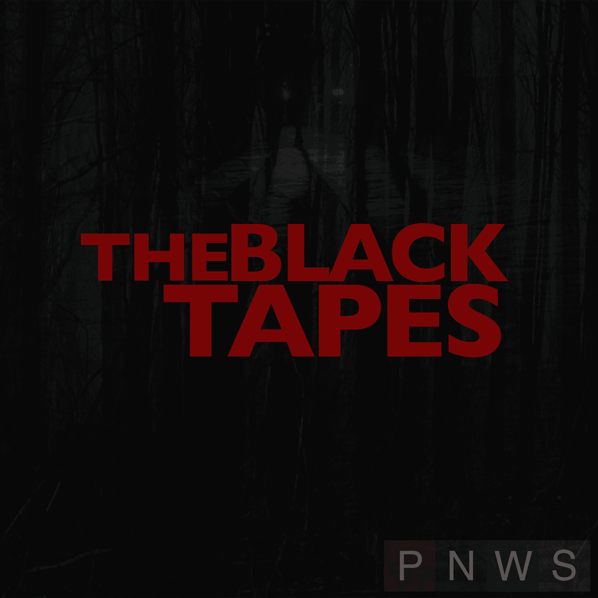 The Black Tapes podcast cover art