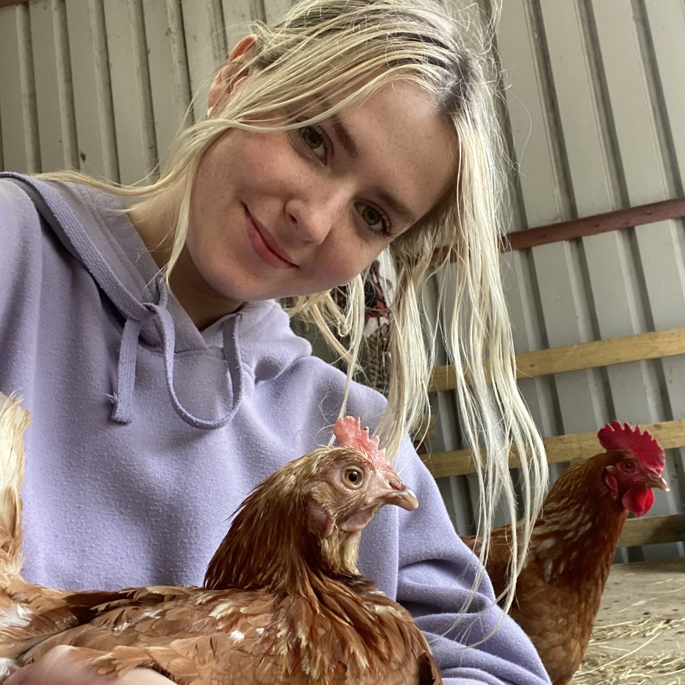 Knowing Animals podcast cover art