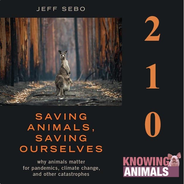 Knowing Animals podcast cover art