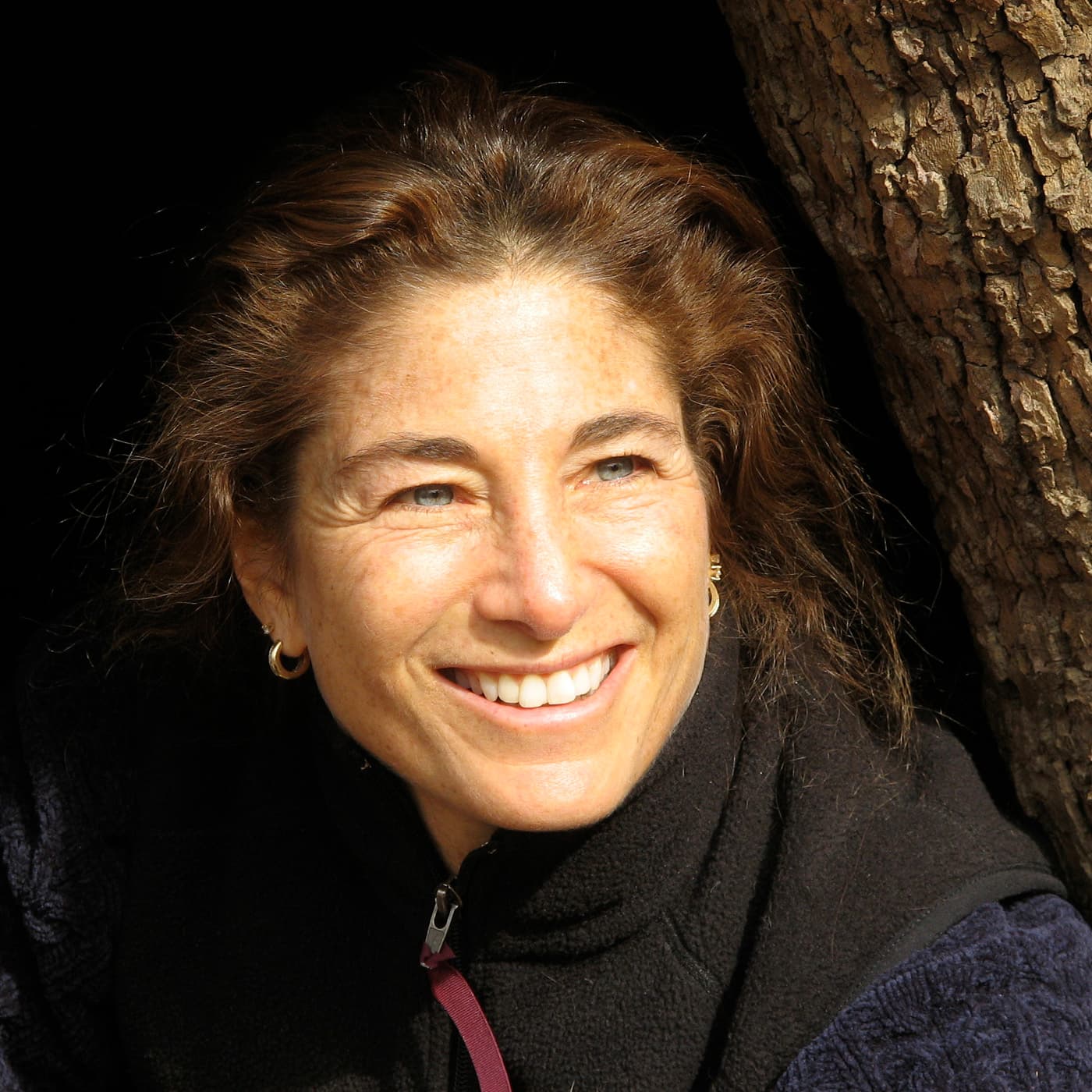 Tara Brach podcast cover art