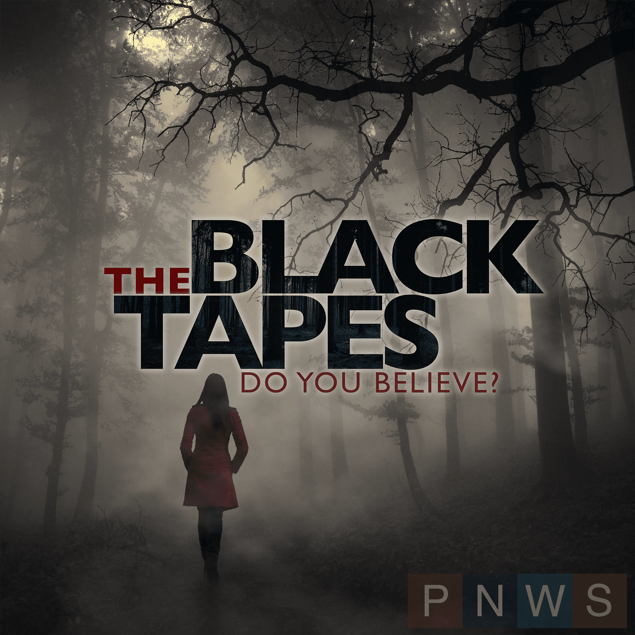 The Black Tapes podcast cover art