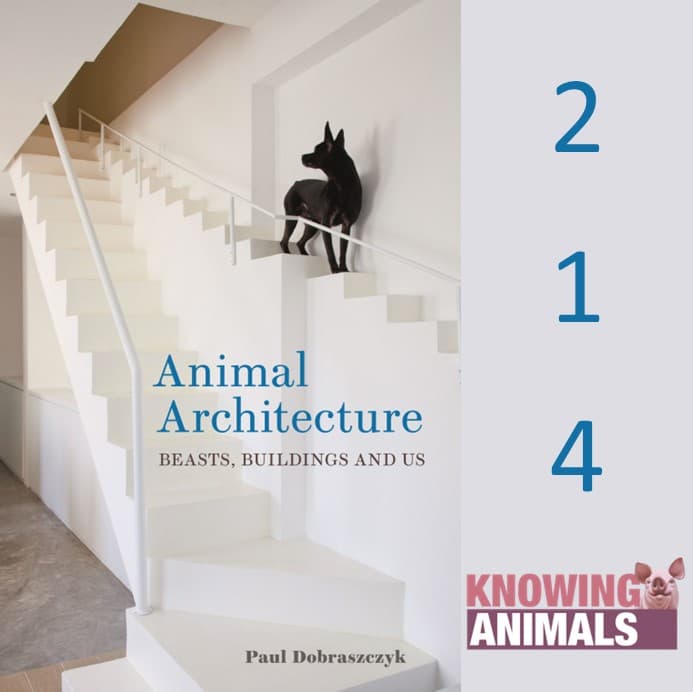 Knowing Animals podcast cover art