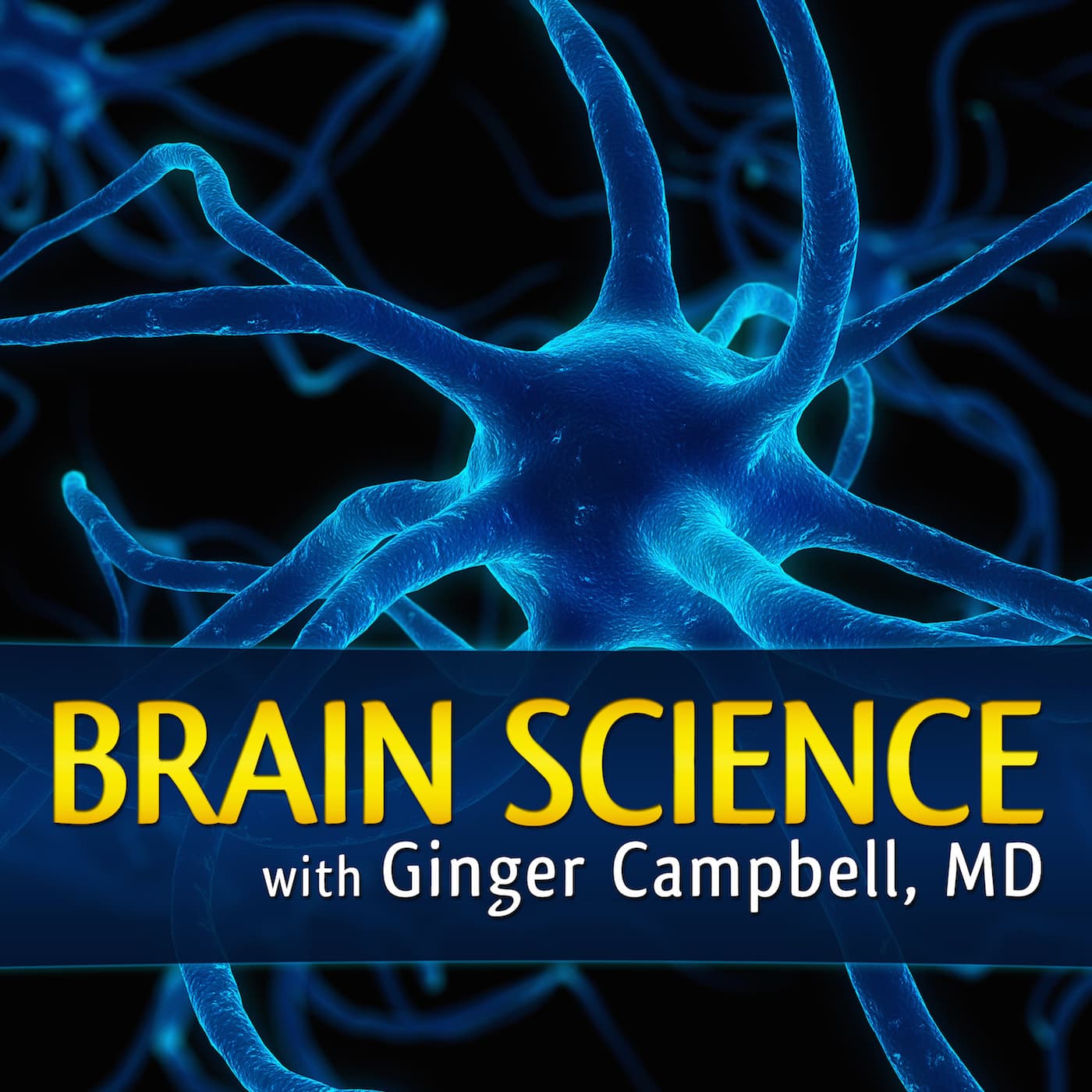 Brain Science with Ginger Campbell, MD: Neuroscience for Everyone podcast cover art