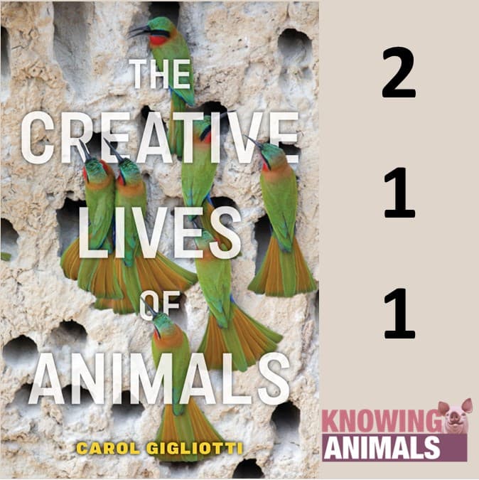 Knowing Animals podcast cover art