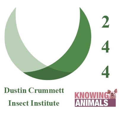 Knowing Animals podcast cover art
