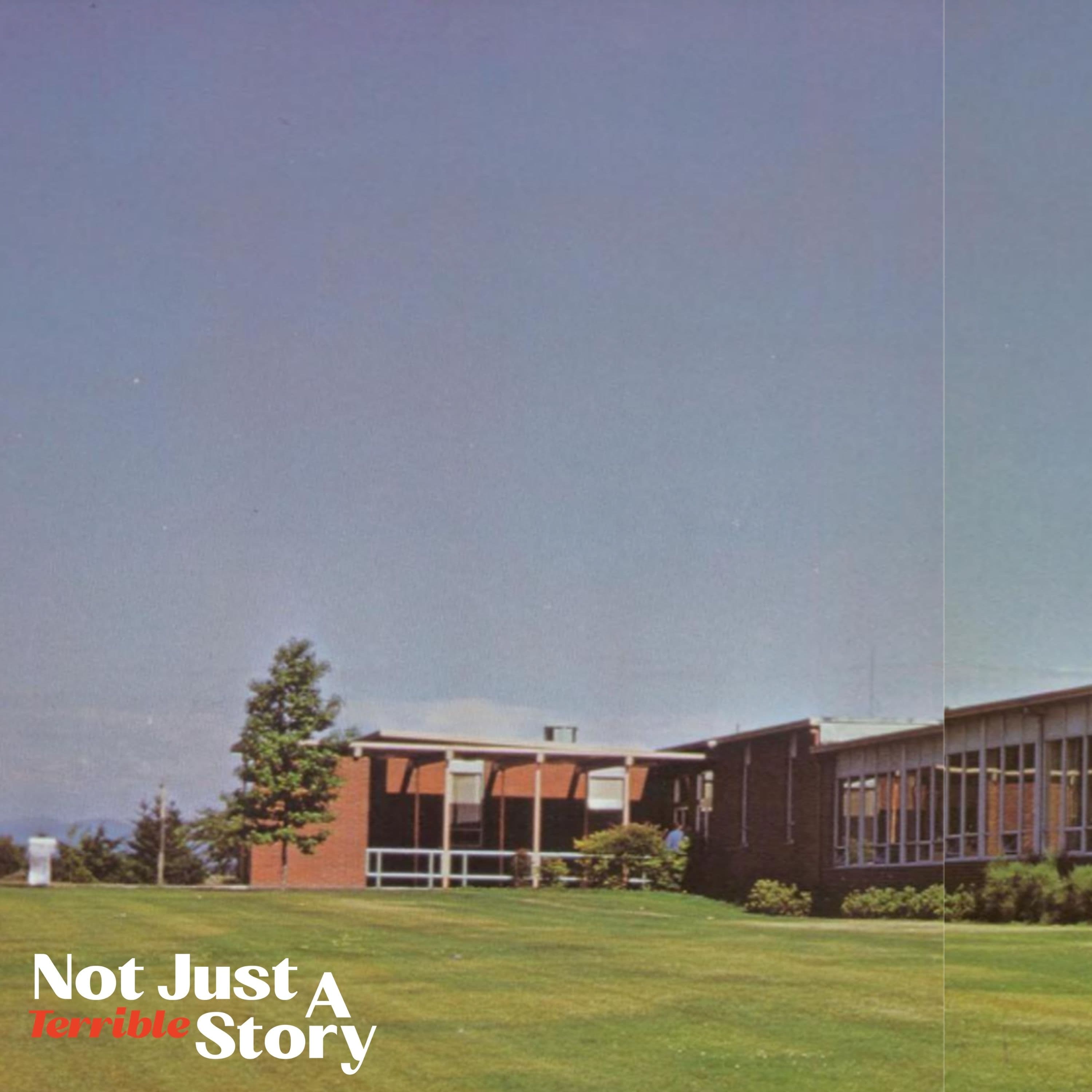 Not Just A Terrible Story podcast cover art