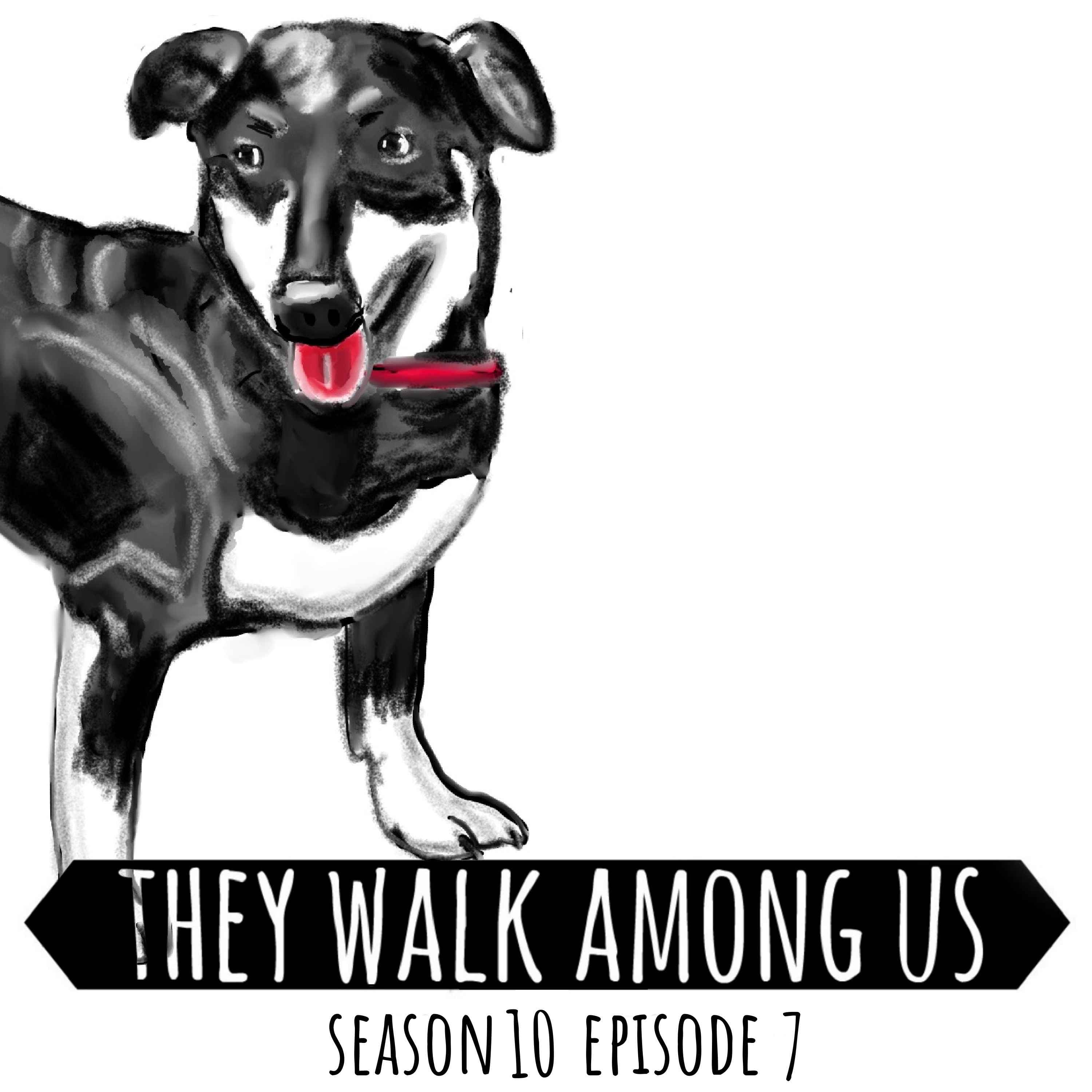 They Walk Among Us - UK True Crime podcast cover art