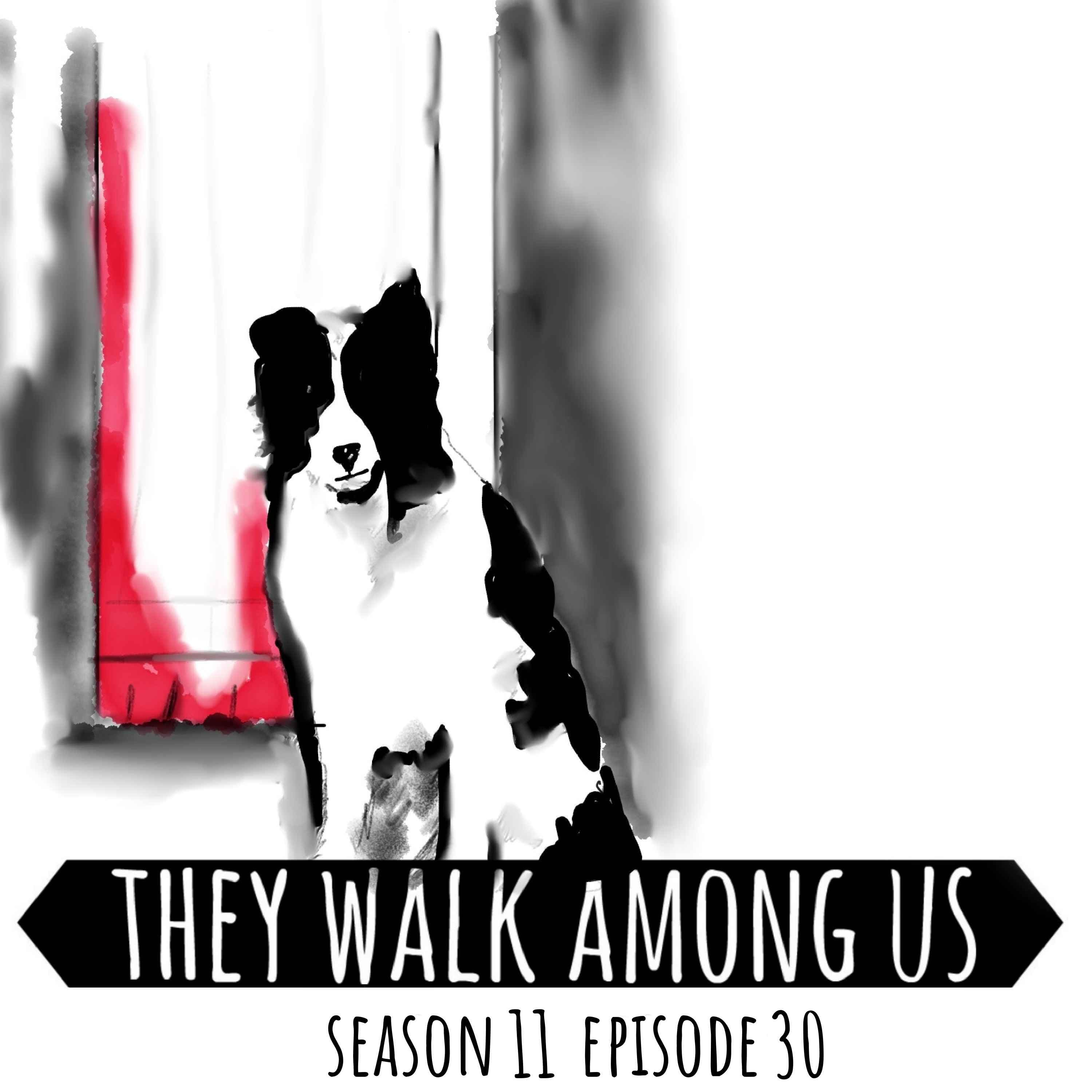 They Walk Among Us - UK True Crime podcast cover art