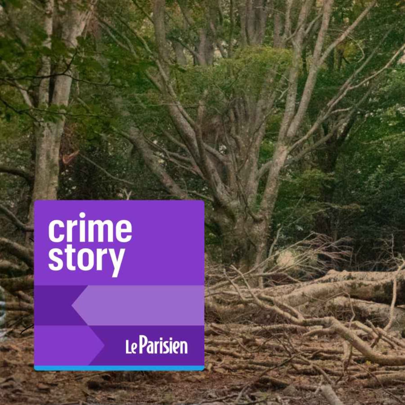 Crime story podcast cover art