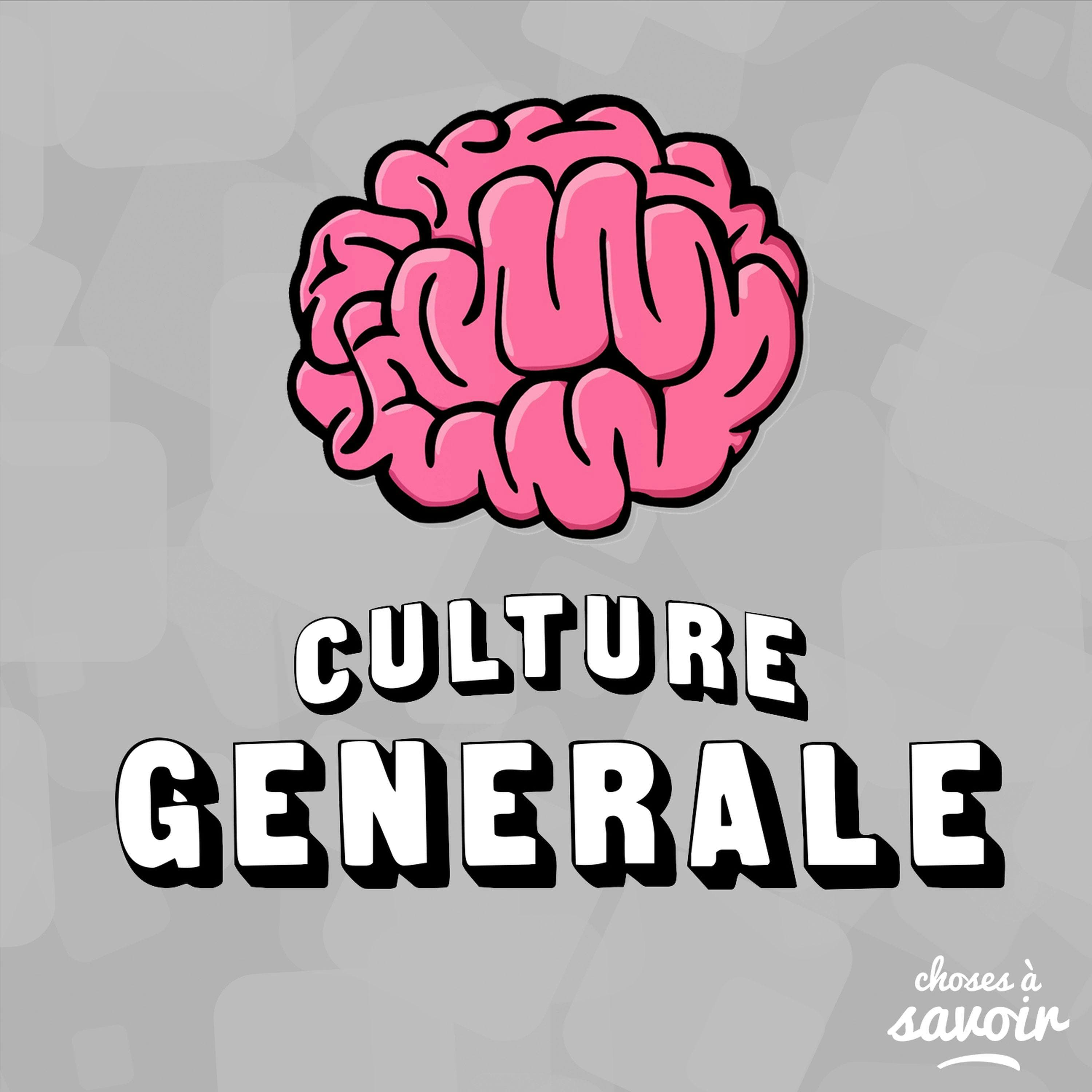 Choses à Savoir - Culture générale podcast cover art
