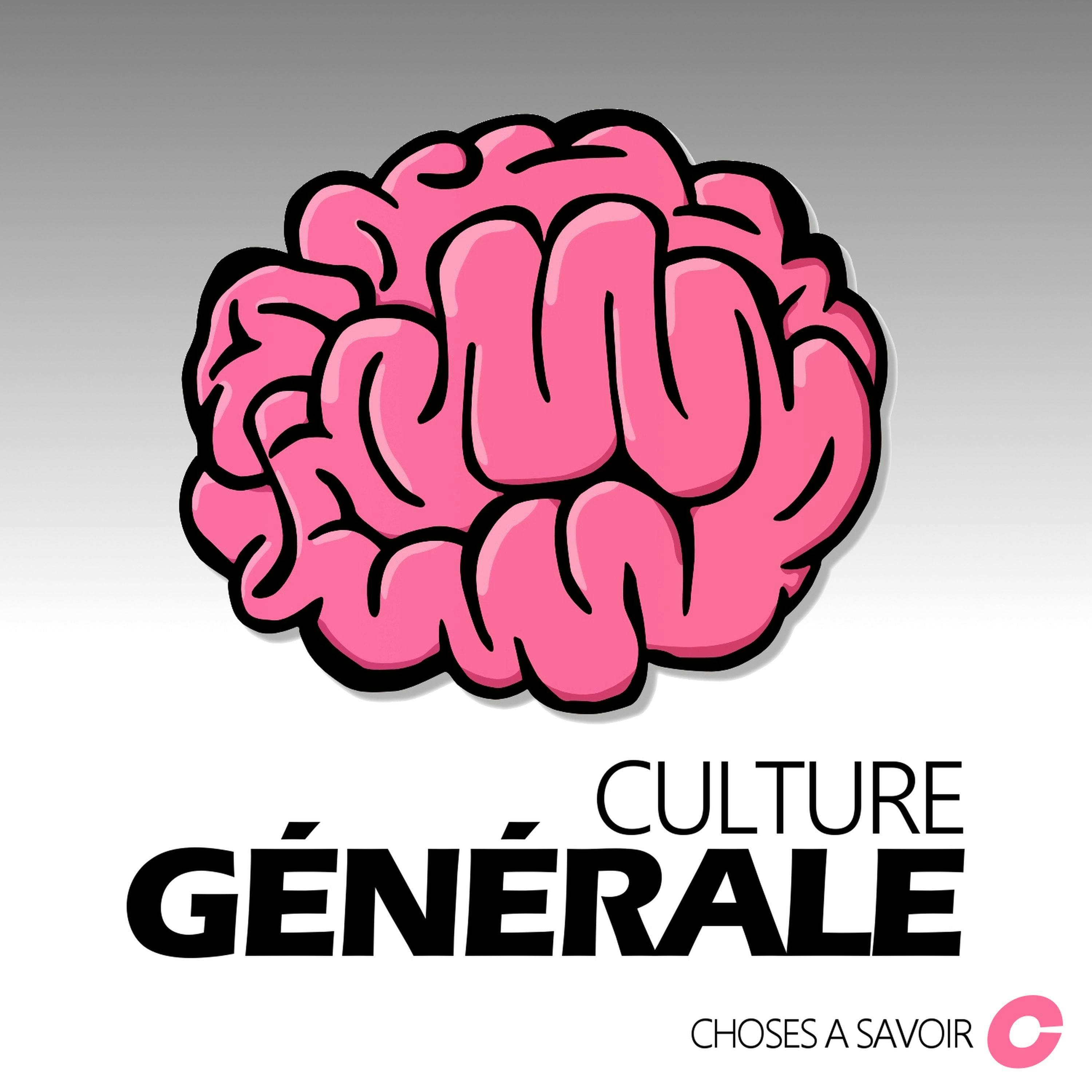 Choses à Savoir - Culture générale podcast cover art