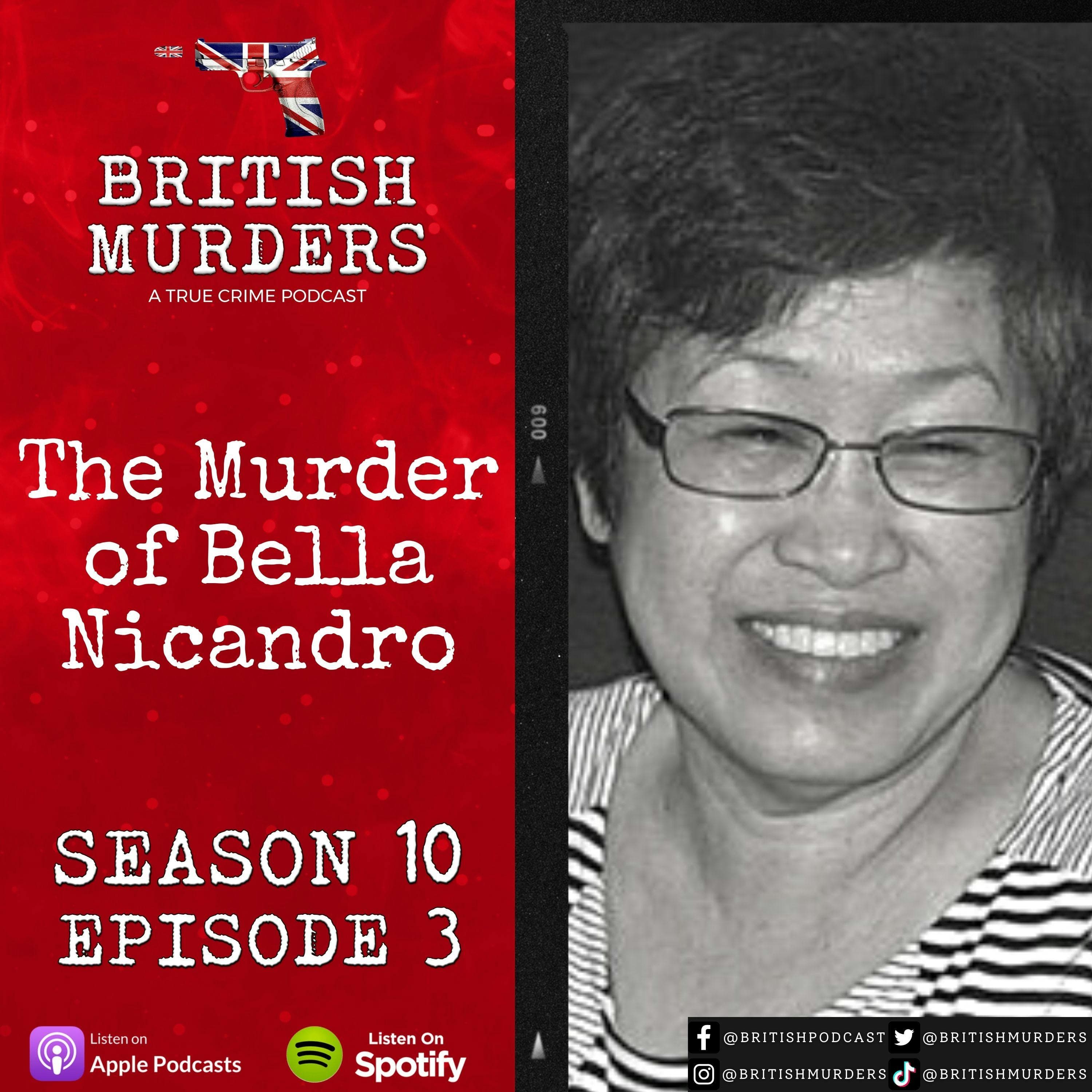British Murders with Stuart Blues podcast cover art