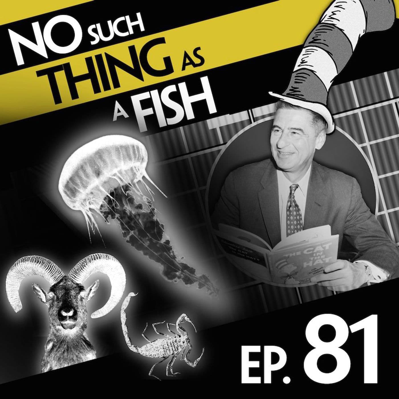 No Such Thing As A Fish podcast cover art