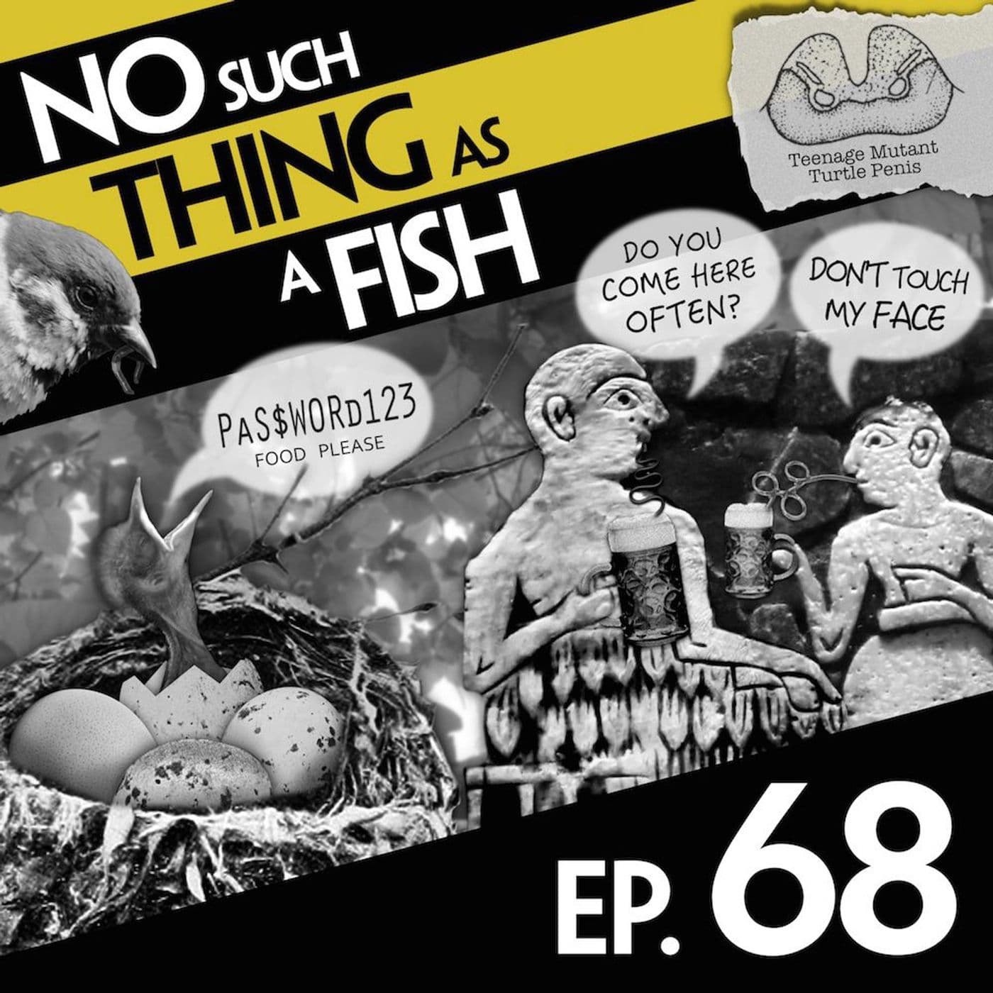 No Such Thing As A Fish podcast cover art