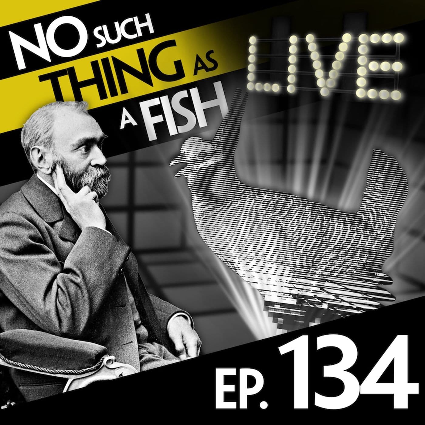 No Such Thing As A Fish podcast cover art