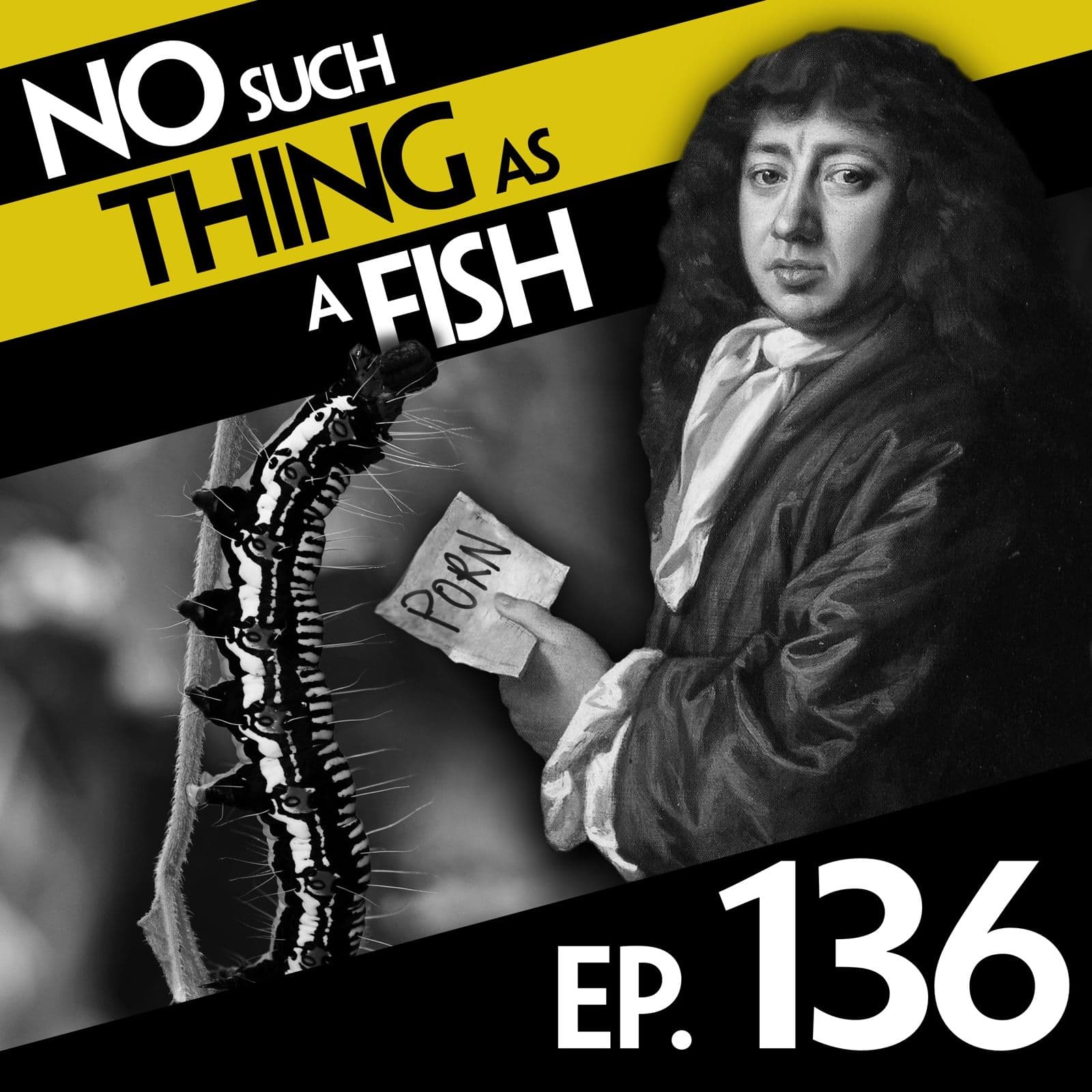 No Such Thing As A Fish podcast cover art