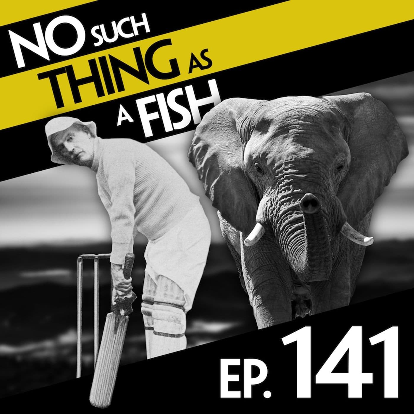No Such Thing As A Fish podcast cover art