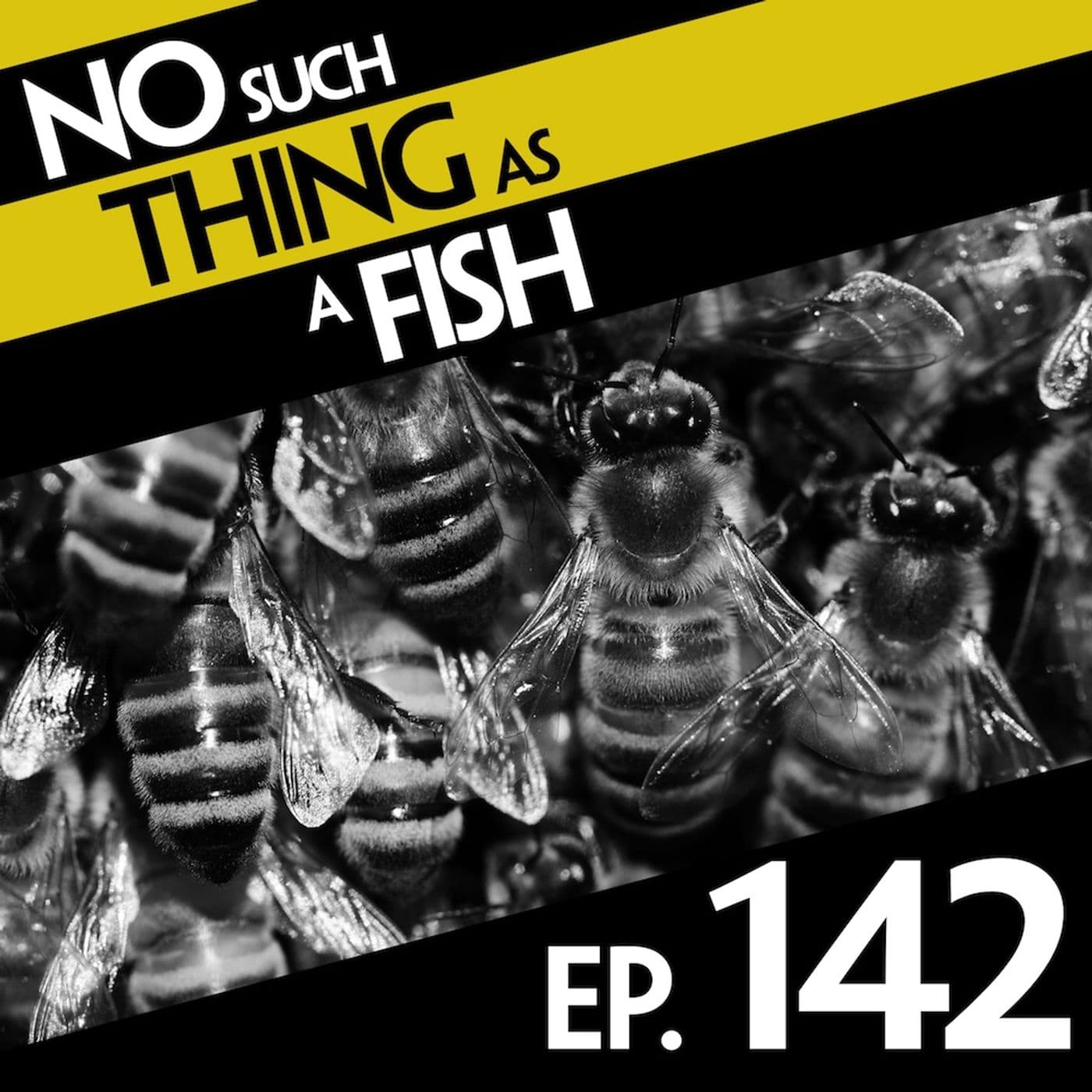 No Such Thing As A Fish podcast cover art