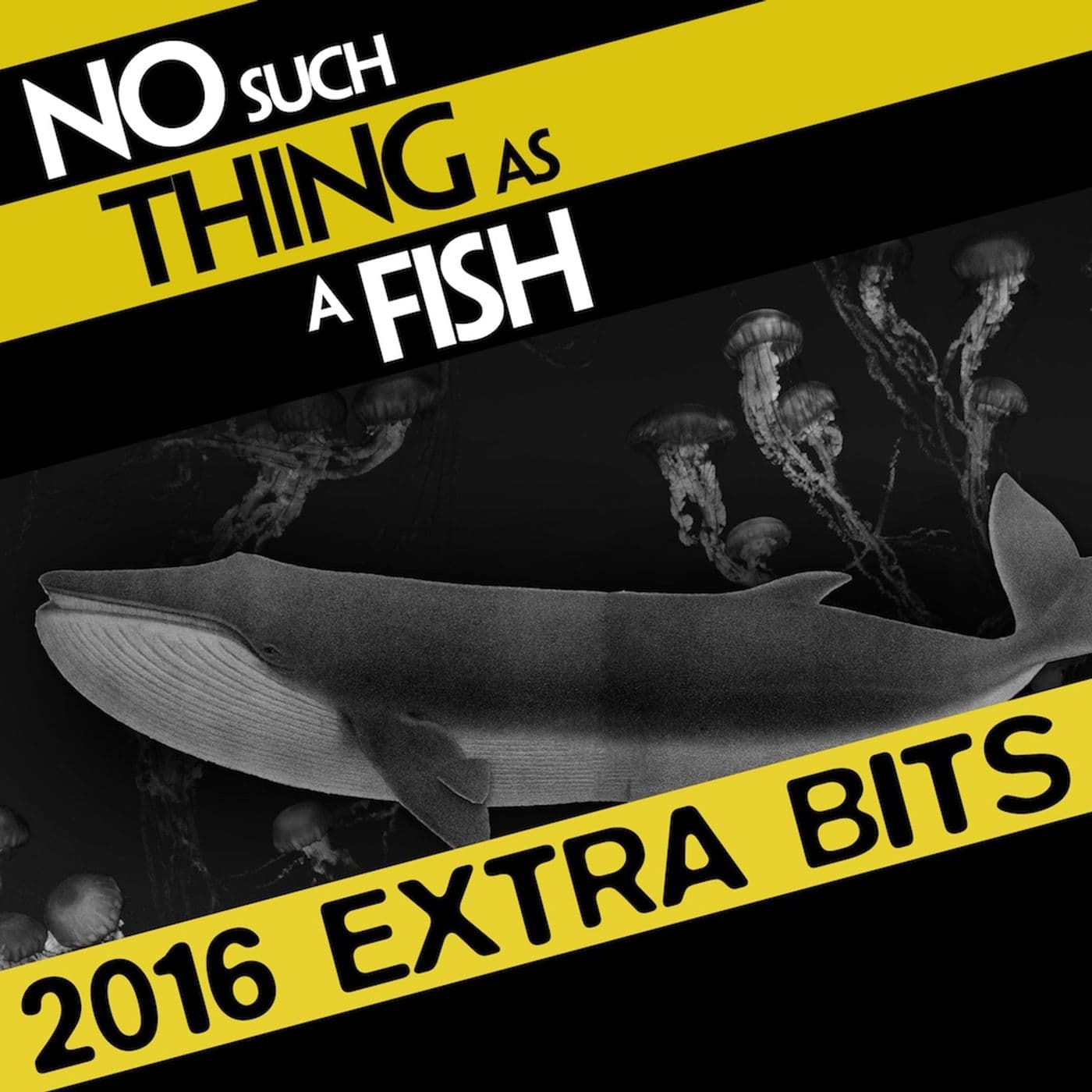 No Such Thing As A Fish podcast cover art