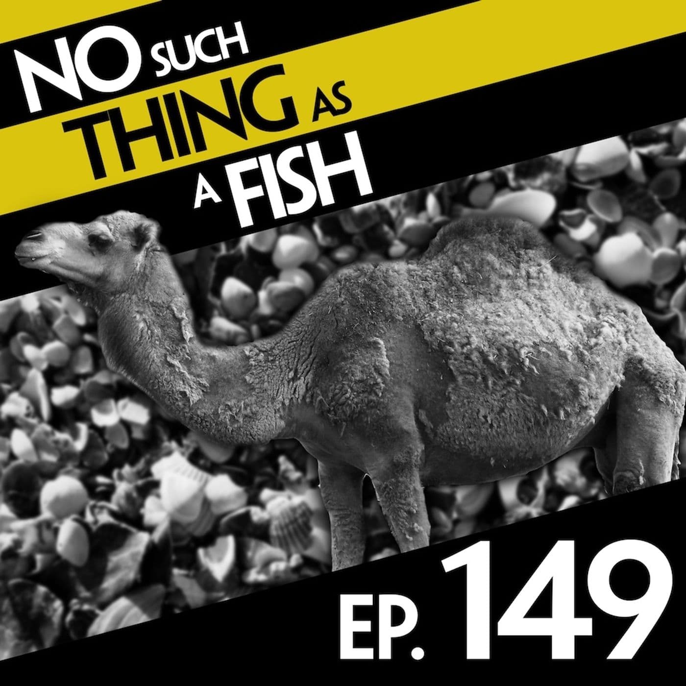 No Such Thing As A Fish podcast cover art