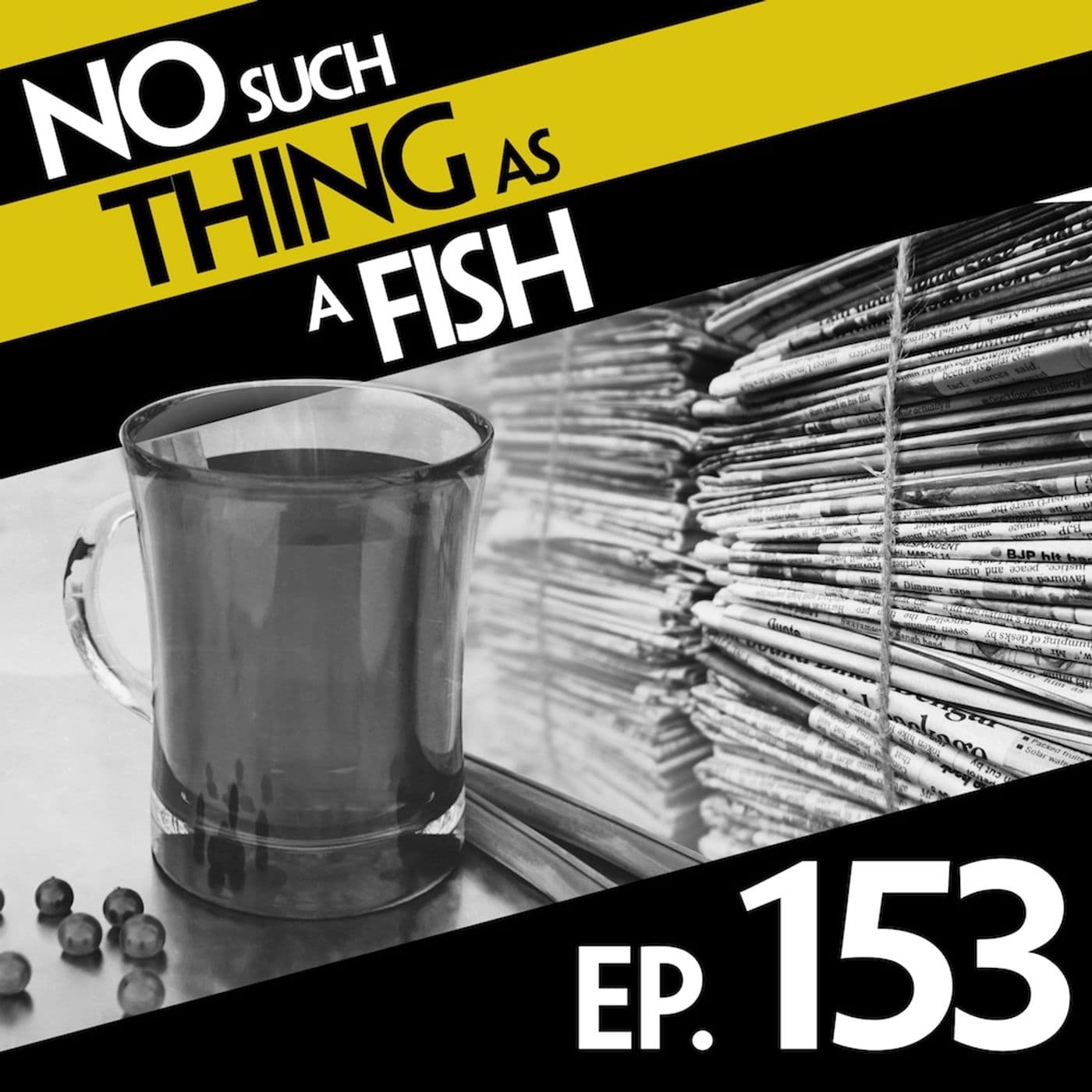 No Such Thing As A Fish podcast cover art