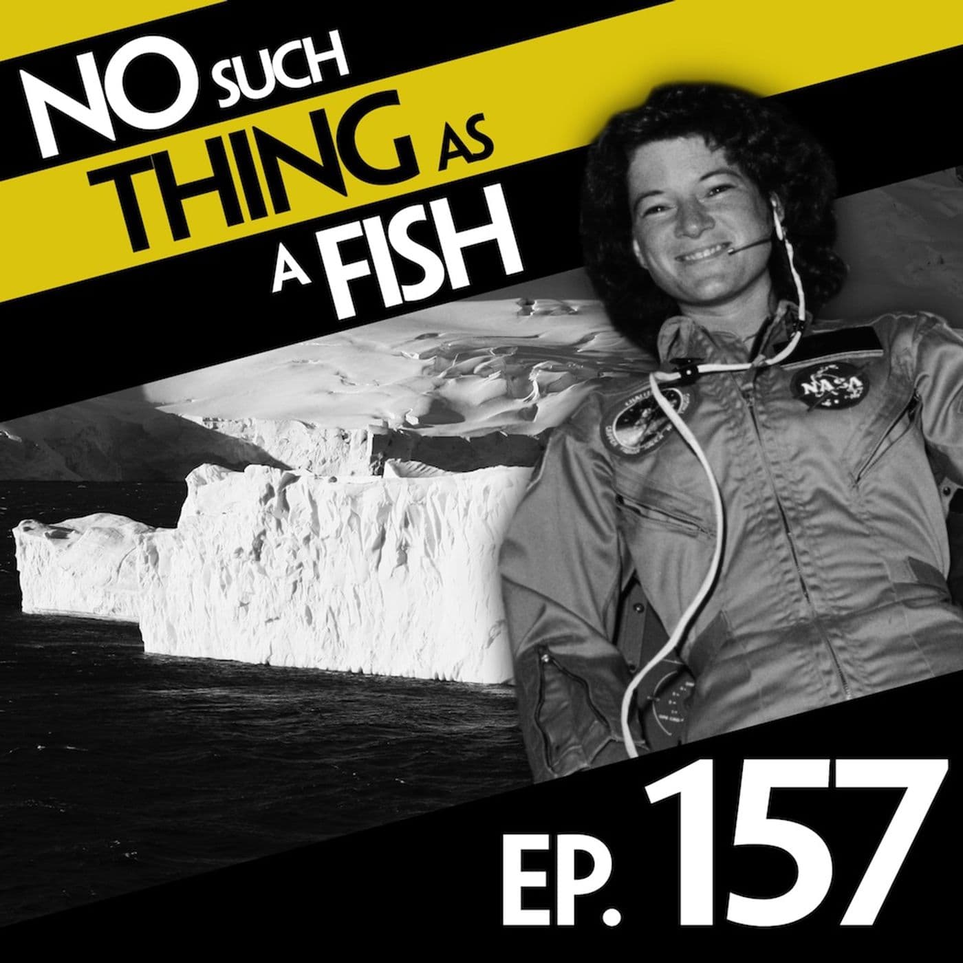 No Such Thing As A Fish podcast cover art