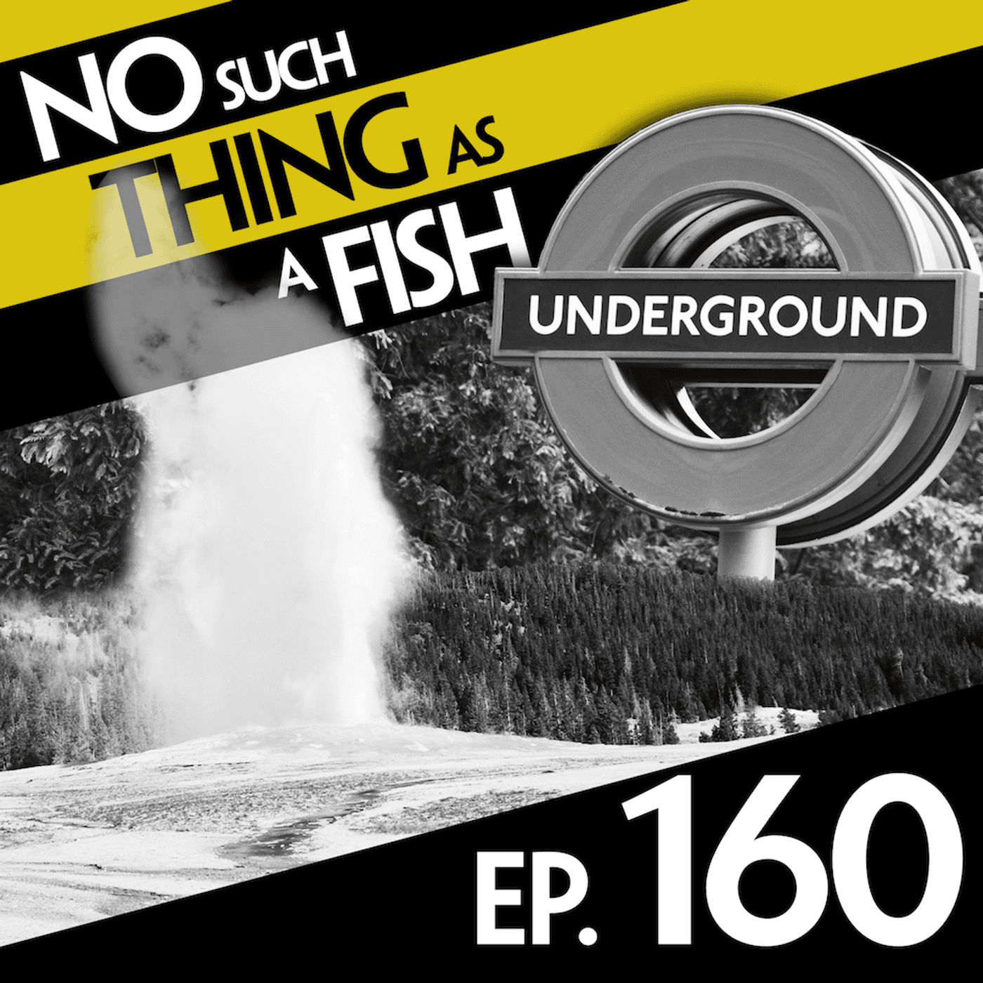 No Such Thing As A Fish podcast cover art
