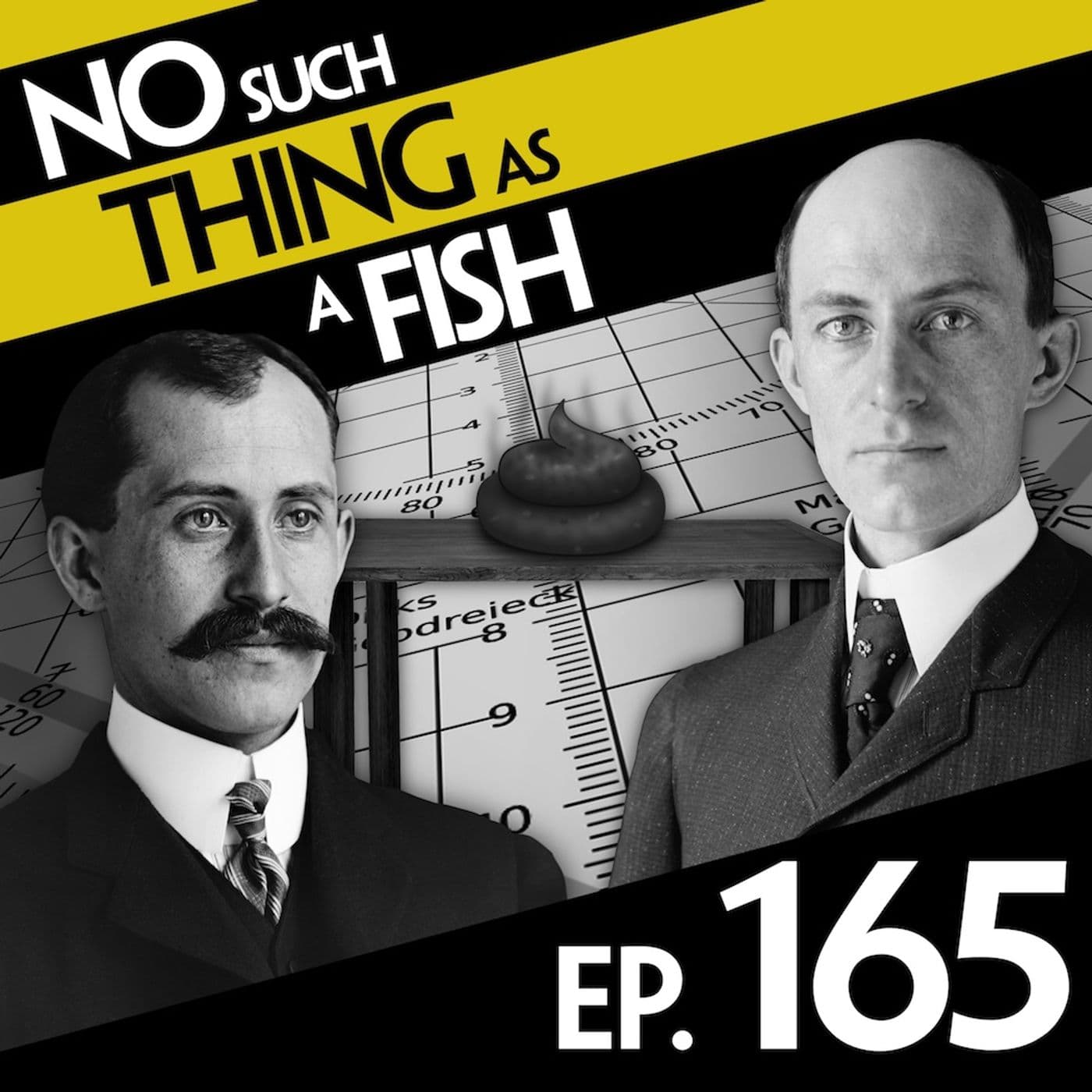 No Such Thing As A Fish podcast cover art