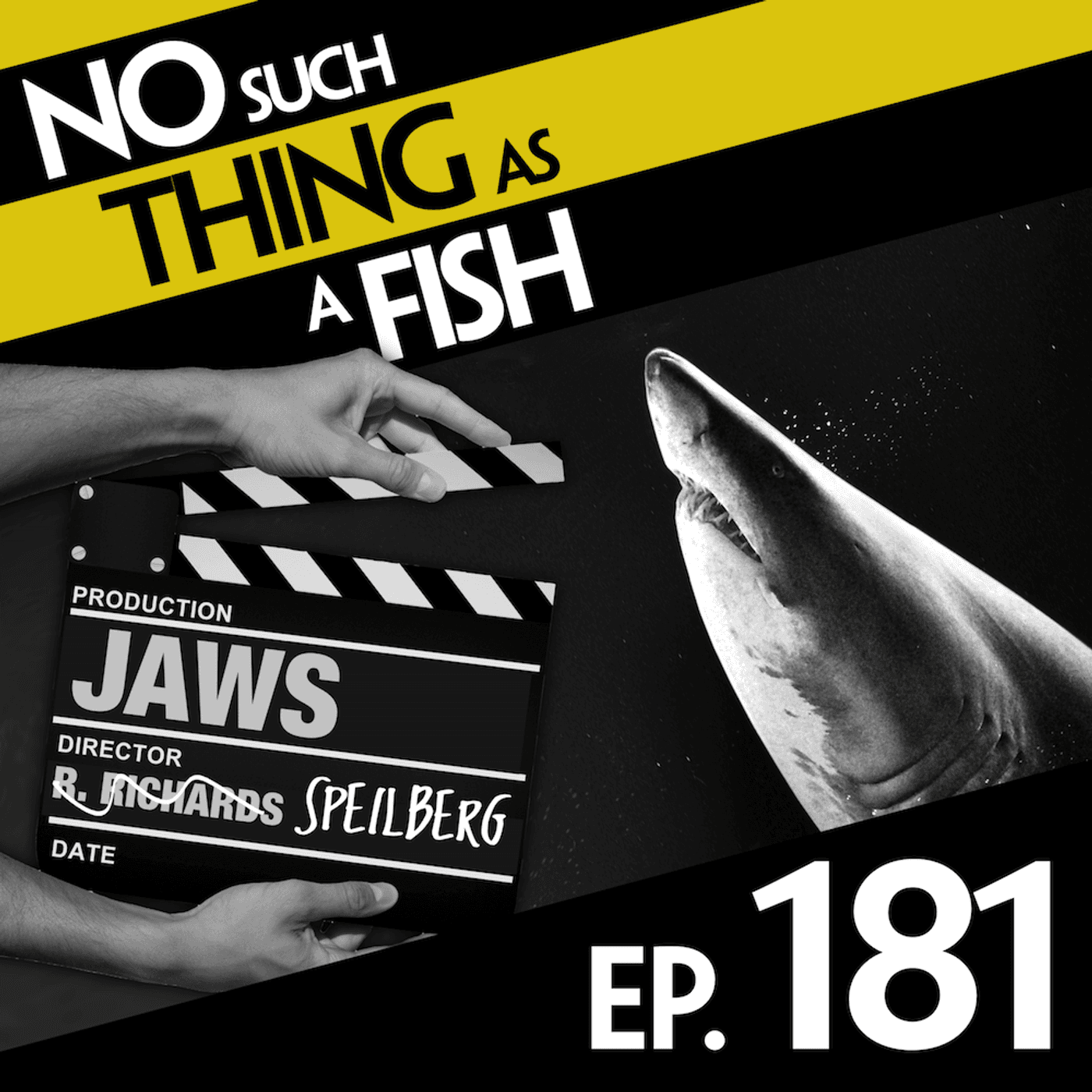 No Such Thing As A Fish podcast cover art