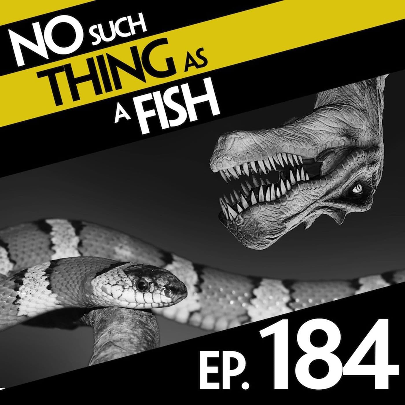 No Such Thing As A Fish podcast cover art