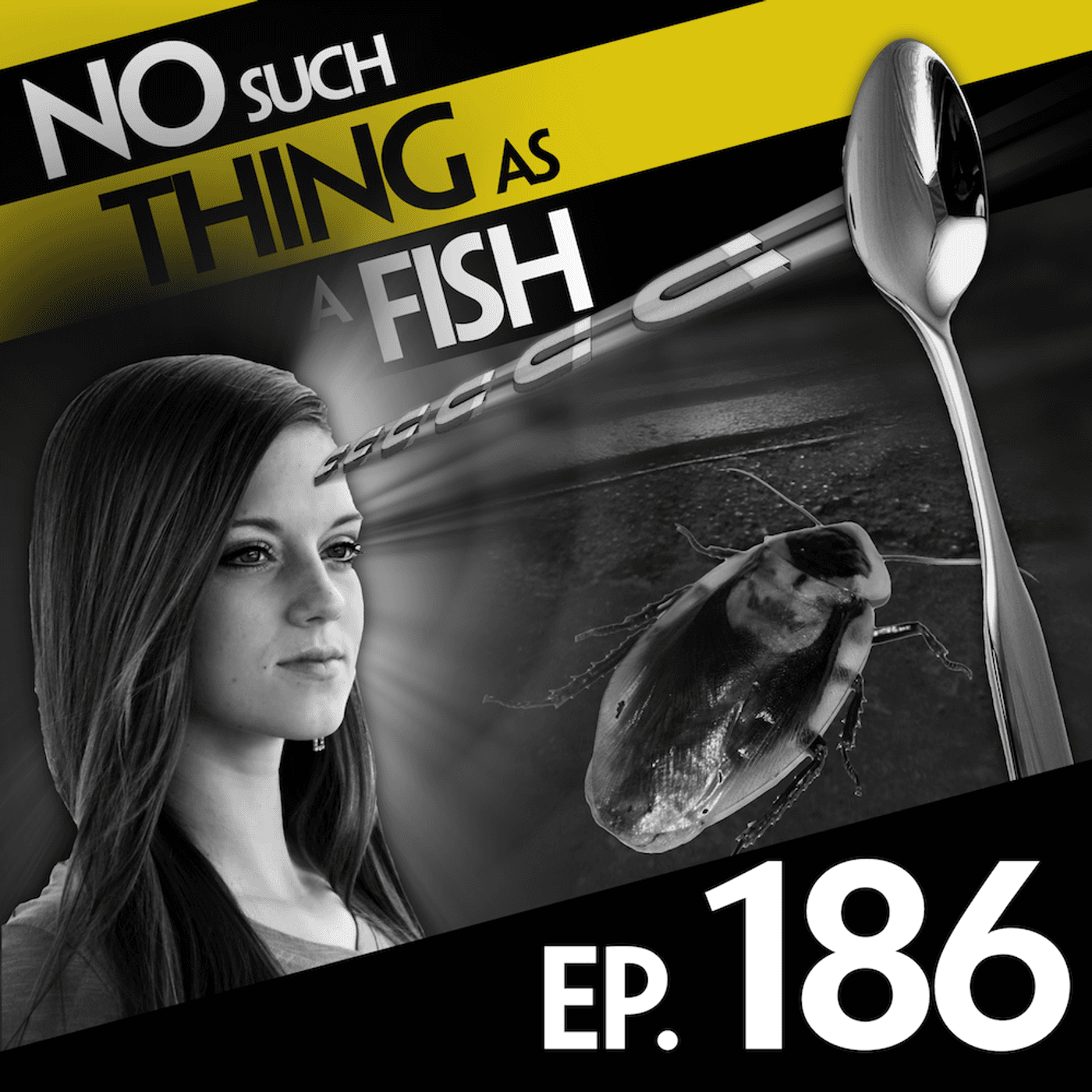 No Such Thing As A Fish podcast cover art
