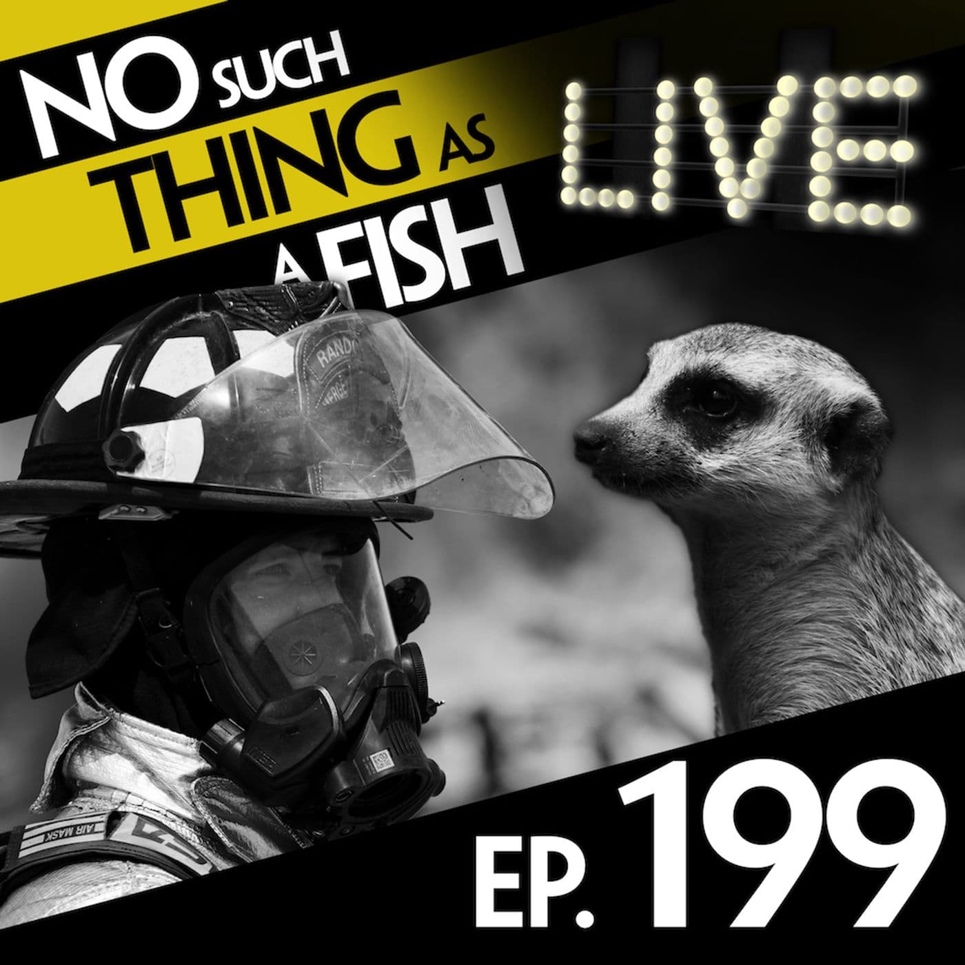 No Such Thing As A Fish podcast cover art