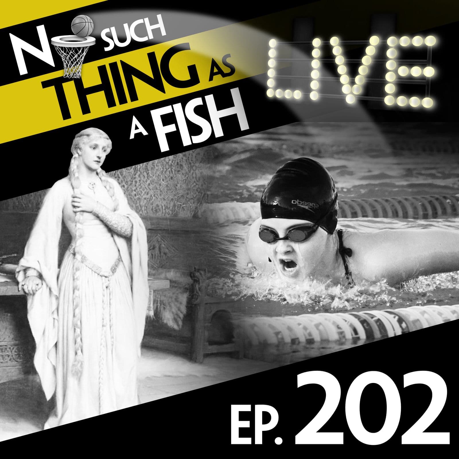 No Such Thing As A Fish podcast cover art