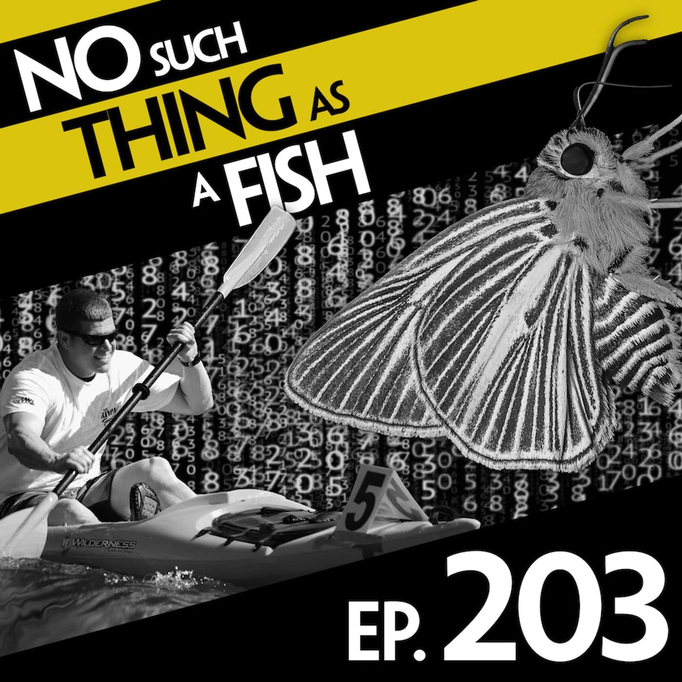 No Such Thing As A Fish podcast cover art