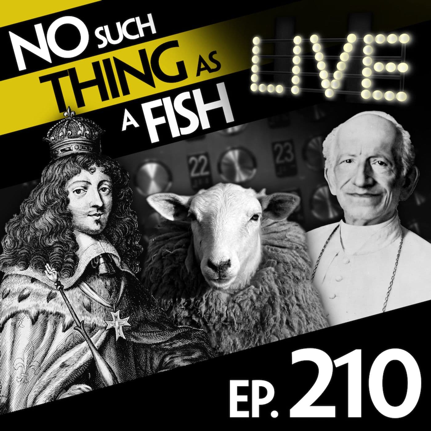 No Such Thing As A Fish podcast cover art