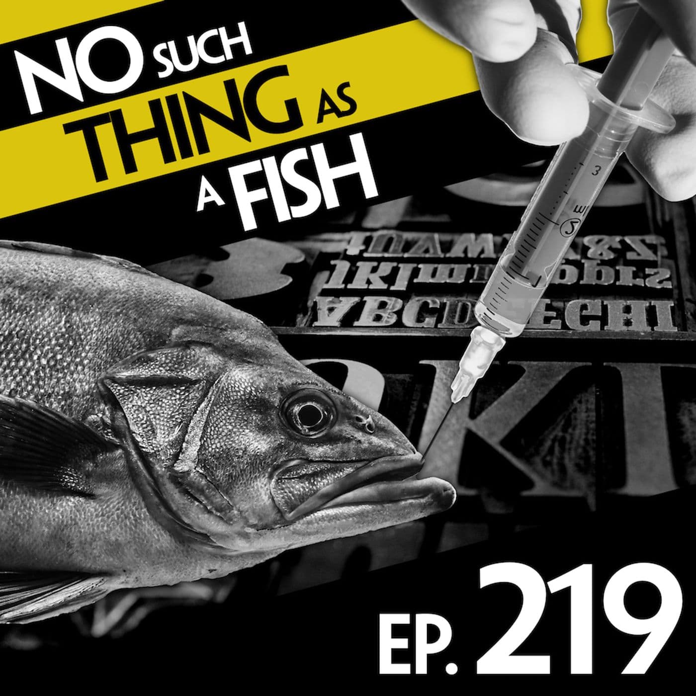 No Such Thing As A Fish podcast cover art