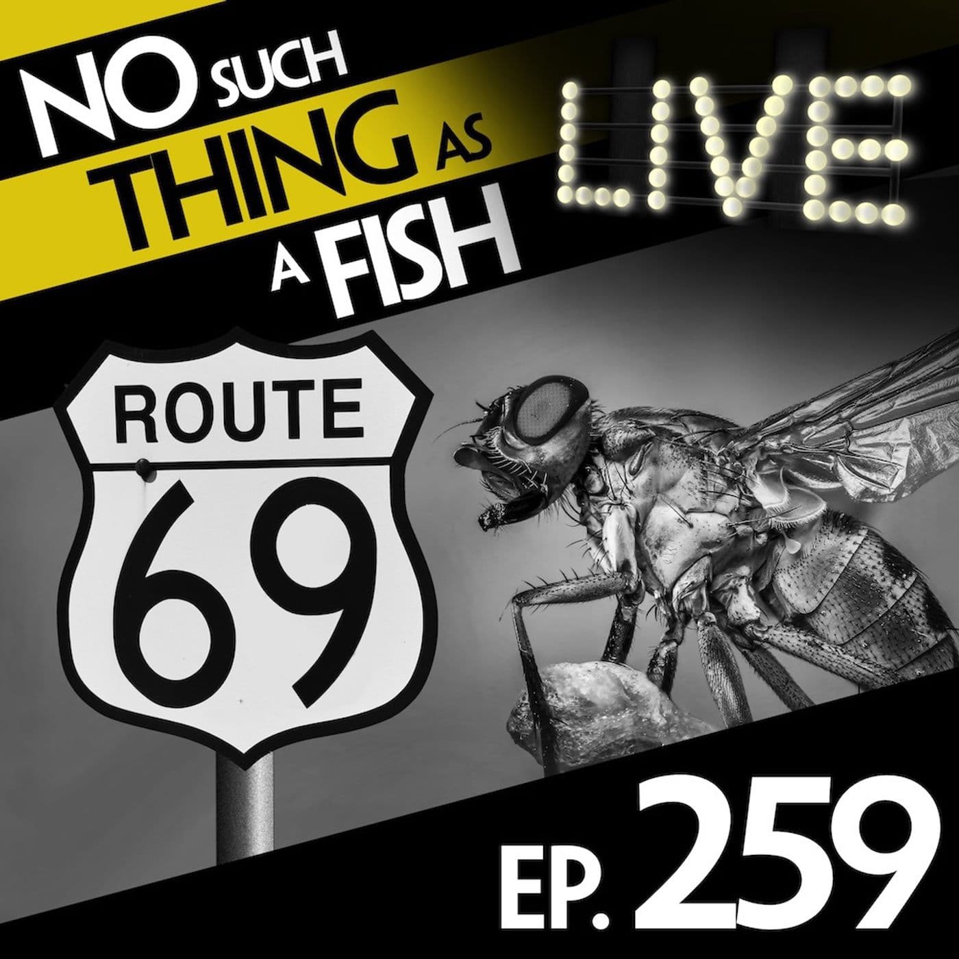 No Such Thing As A Fish podcast cover art