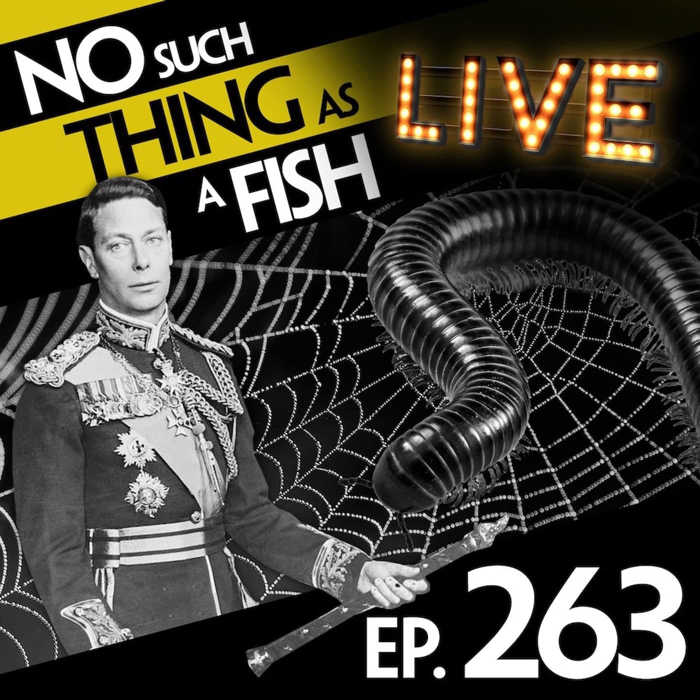 No Such Thing As A Fish podcast cover art