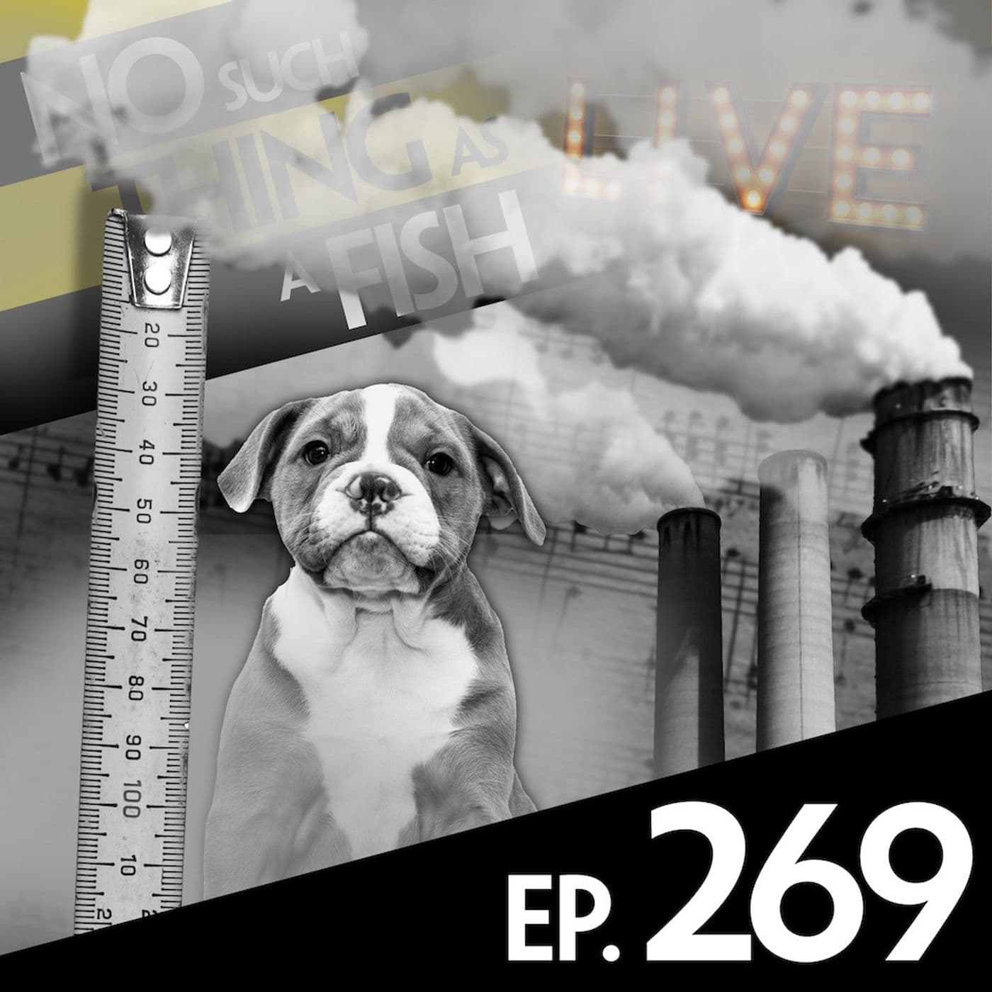 No Such Thing As A Fish podcast cover art