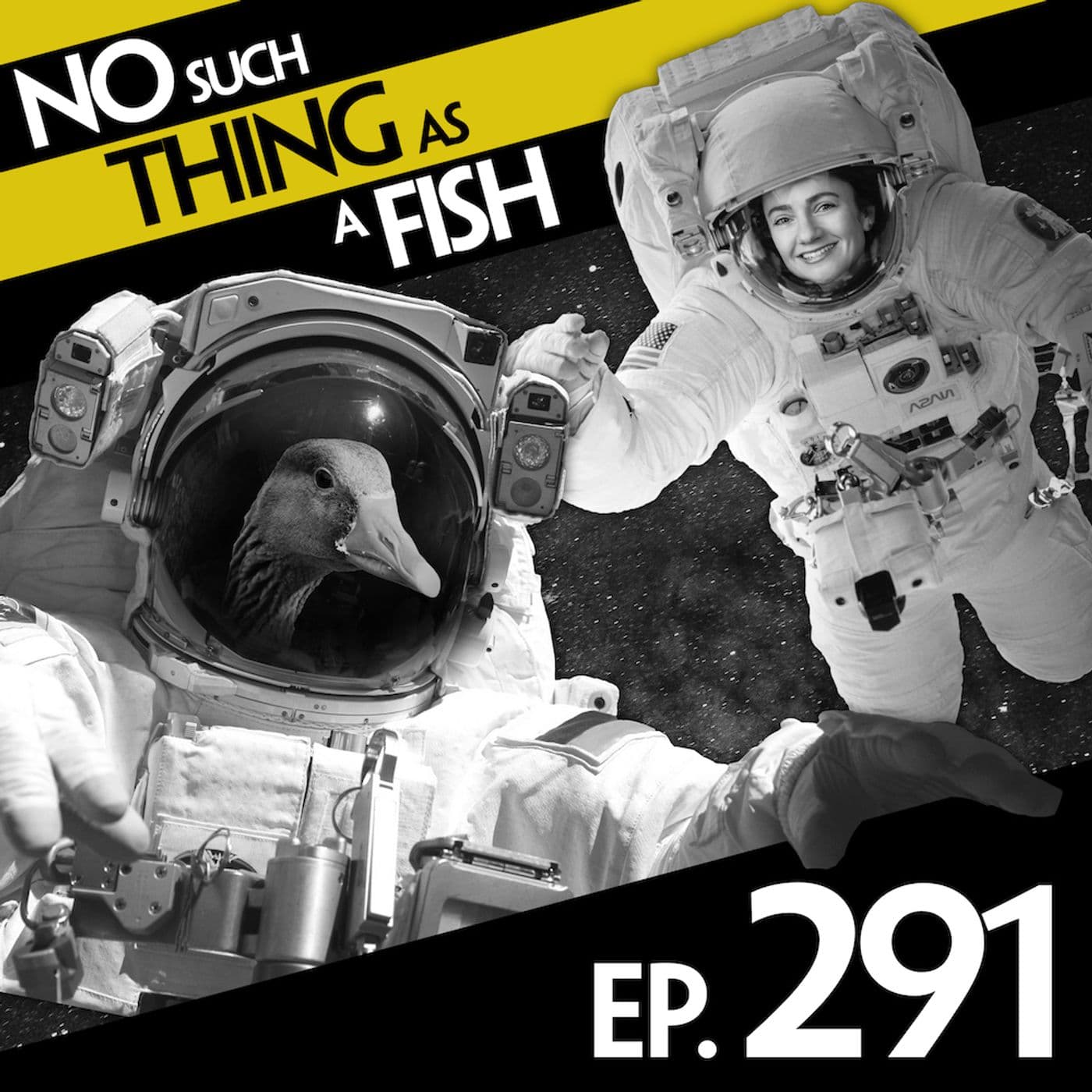 No Such Thing As A Fish podcast cover art
